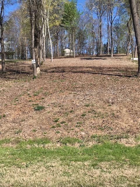 Photo 1 of 3 — 6 Piney View Drive, Spring City, TN 37381