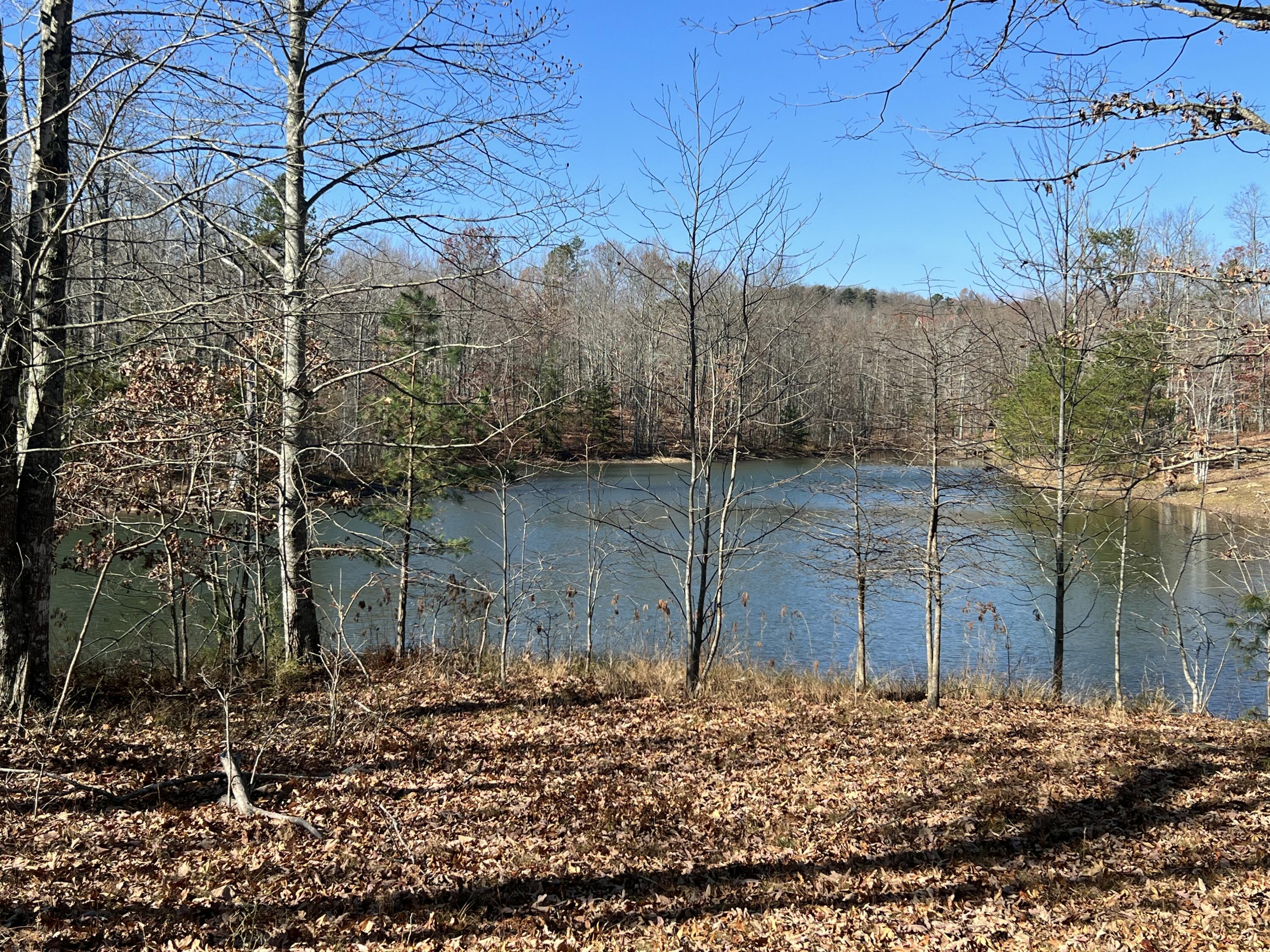 Photo 1 of 9 — 337 Bluff View Drive, Dunlap, TN 37327