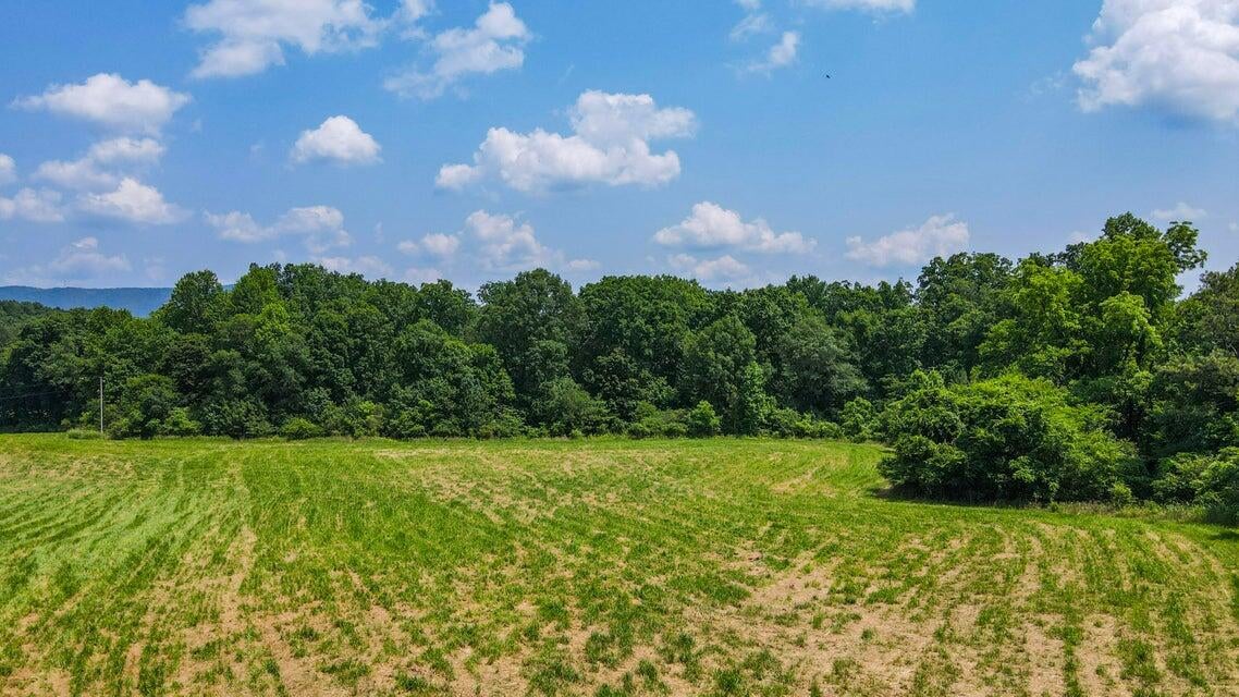 bishop 1