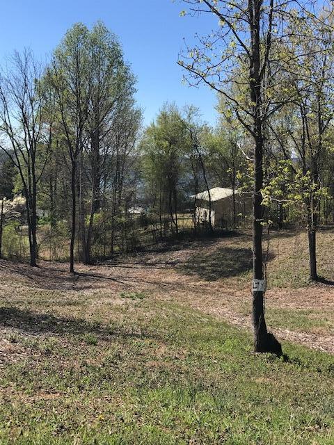 Photo 1 of 2 — 11 Piney View Drive, Spring City, TN 37381