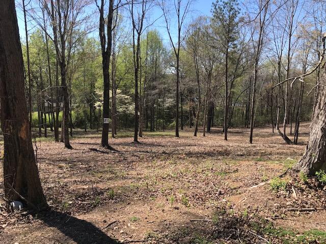 Photo 1 of 2 — 17 Piney View Drive, Spring City, TN 37381