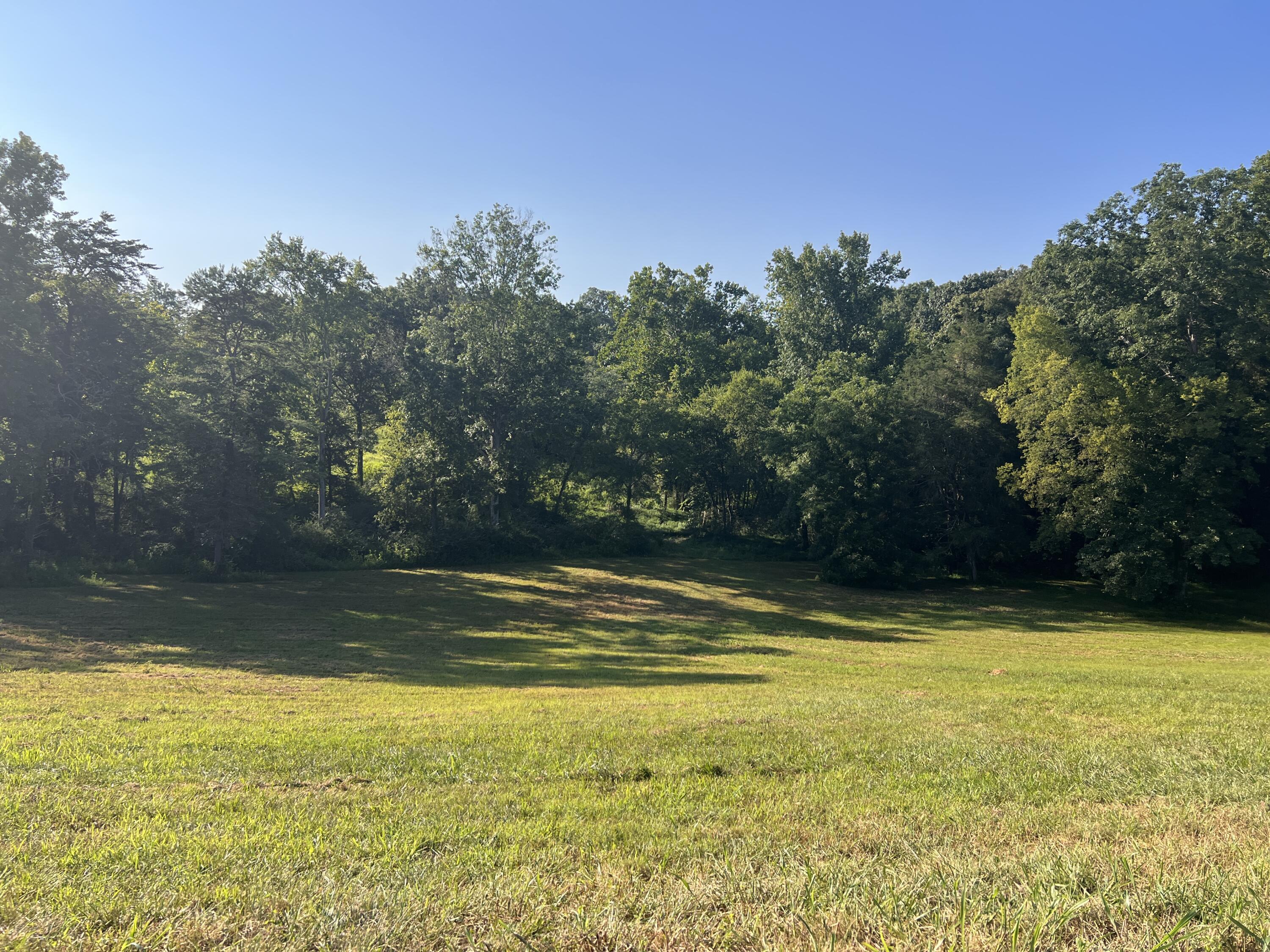 Lot 39 b
