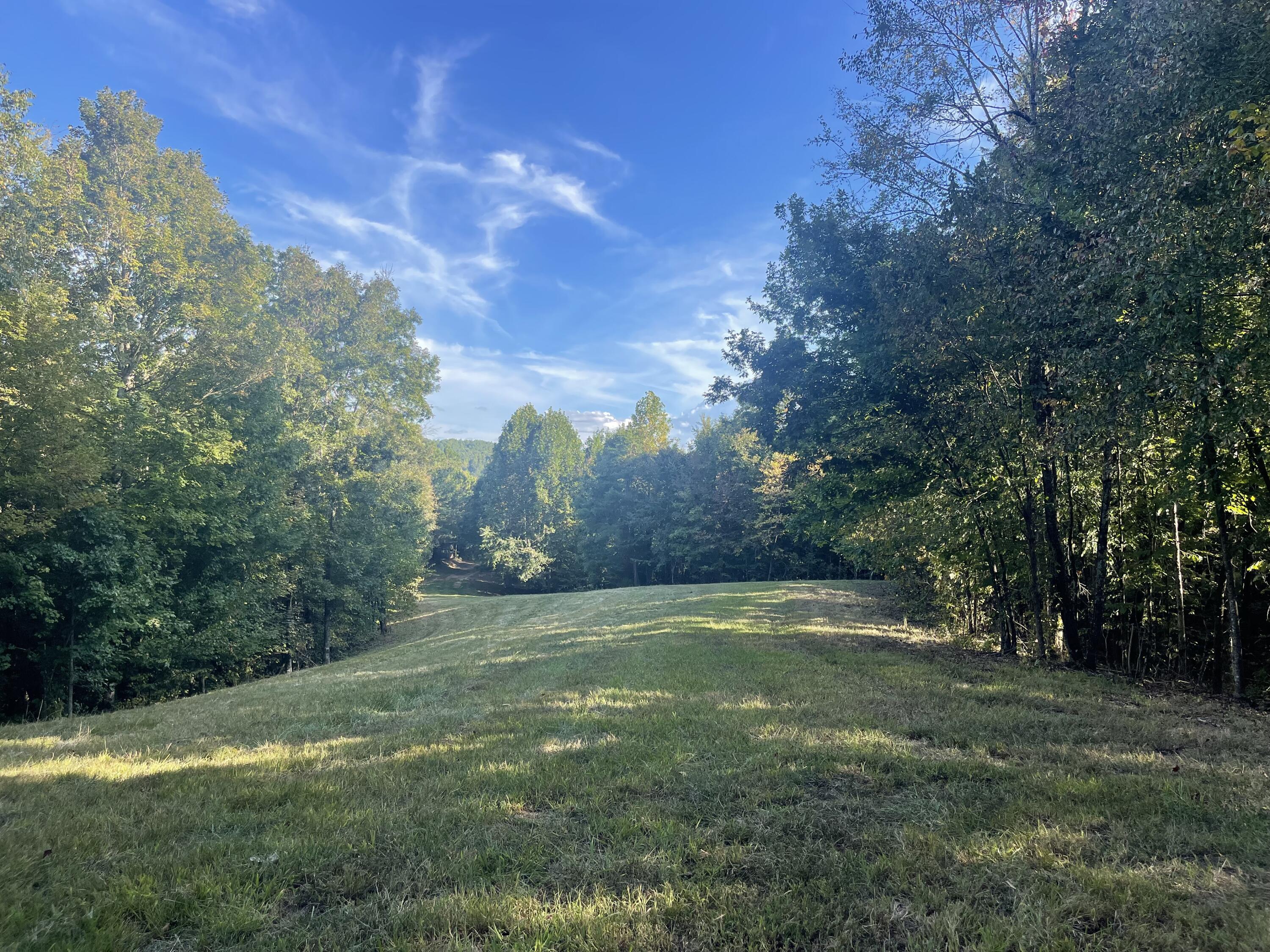 Calhoun, Tennessee, 37309, United States, 4 Bedrooms Bedrooms, ,3 BathroomsBathrooms,Residential,Active,2034257