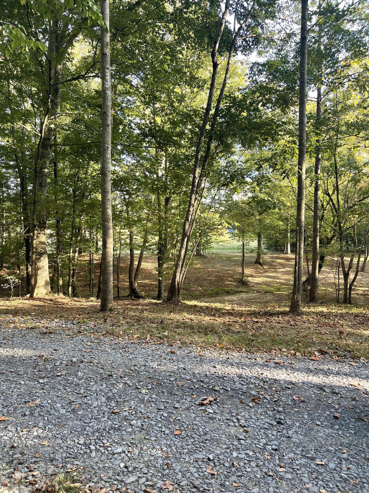 Calhoun, Tennessee, 37309, United States, 4 Bedrooms Bedrooms, ,3 BathroomsBathrooms,Residential,Active,2034257