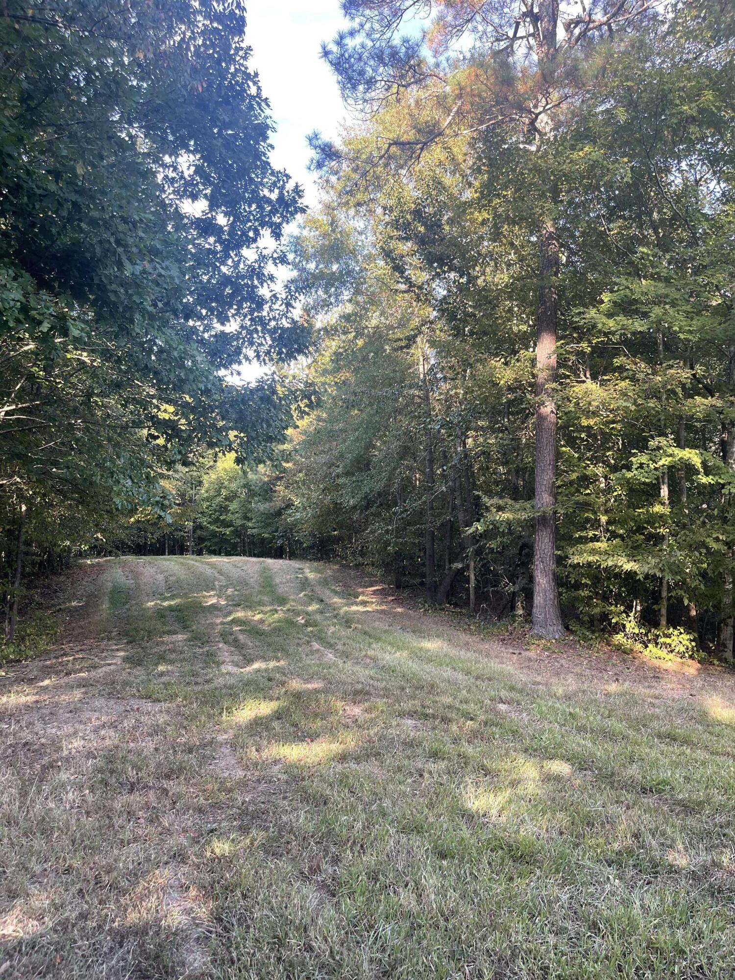 Calhoun, Tennessee, 37309, United States, 4 Bedrooms Bedrooms, ,3 BathroomsBathrooms,Residential,Active,2034257