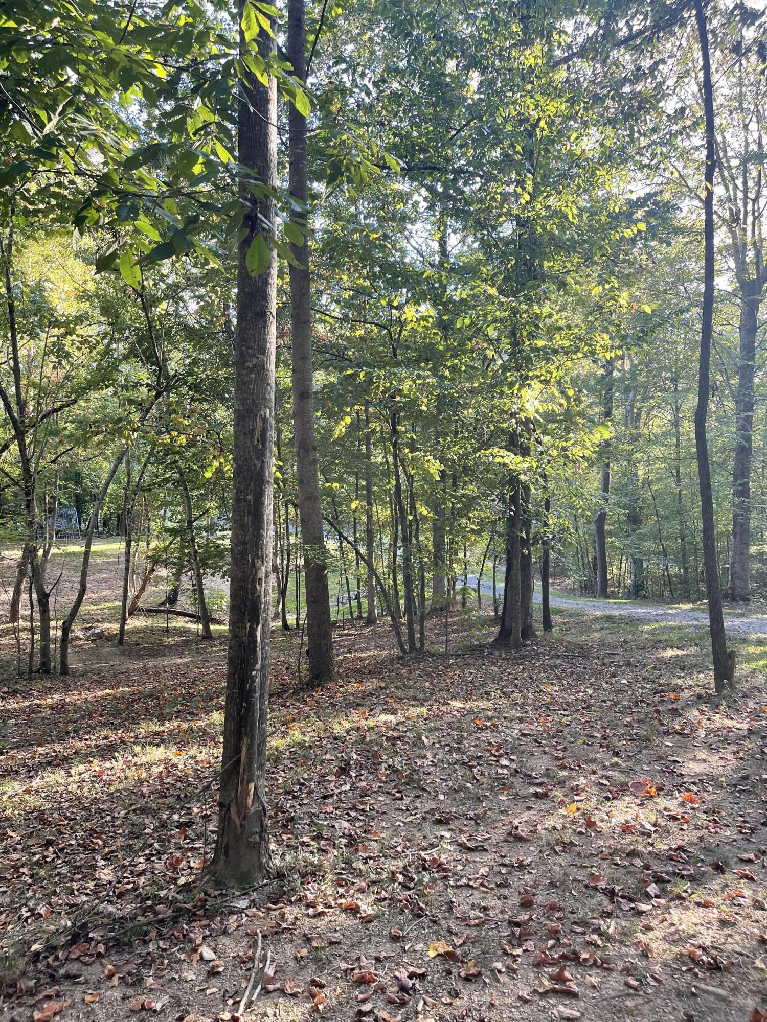 Calhoun, Tennessee, 37309, United States, 4 Bedrooms Bedrooms, ,3 BathroomsBathrooms,Residential,Active,2034257