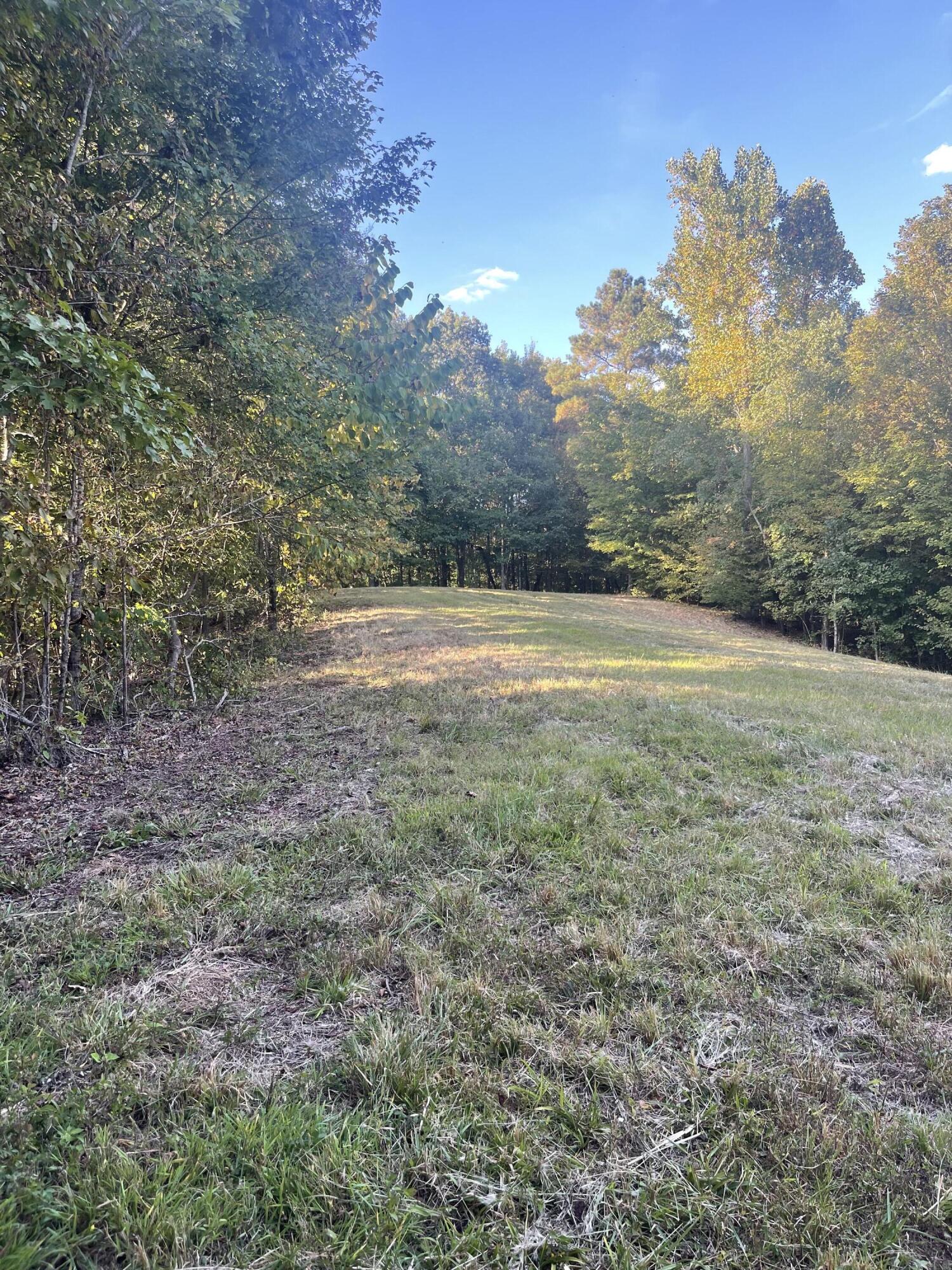 Calhoun, Tennessee, 37309, United States, 4 Bedrooms Bedrooms, ,3 BathroomsBathrooms,Residential,Active,2034257