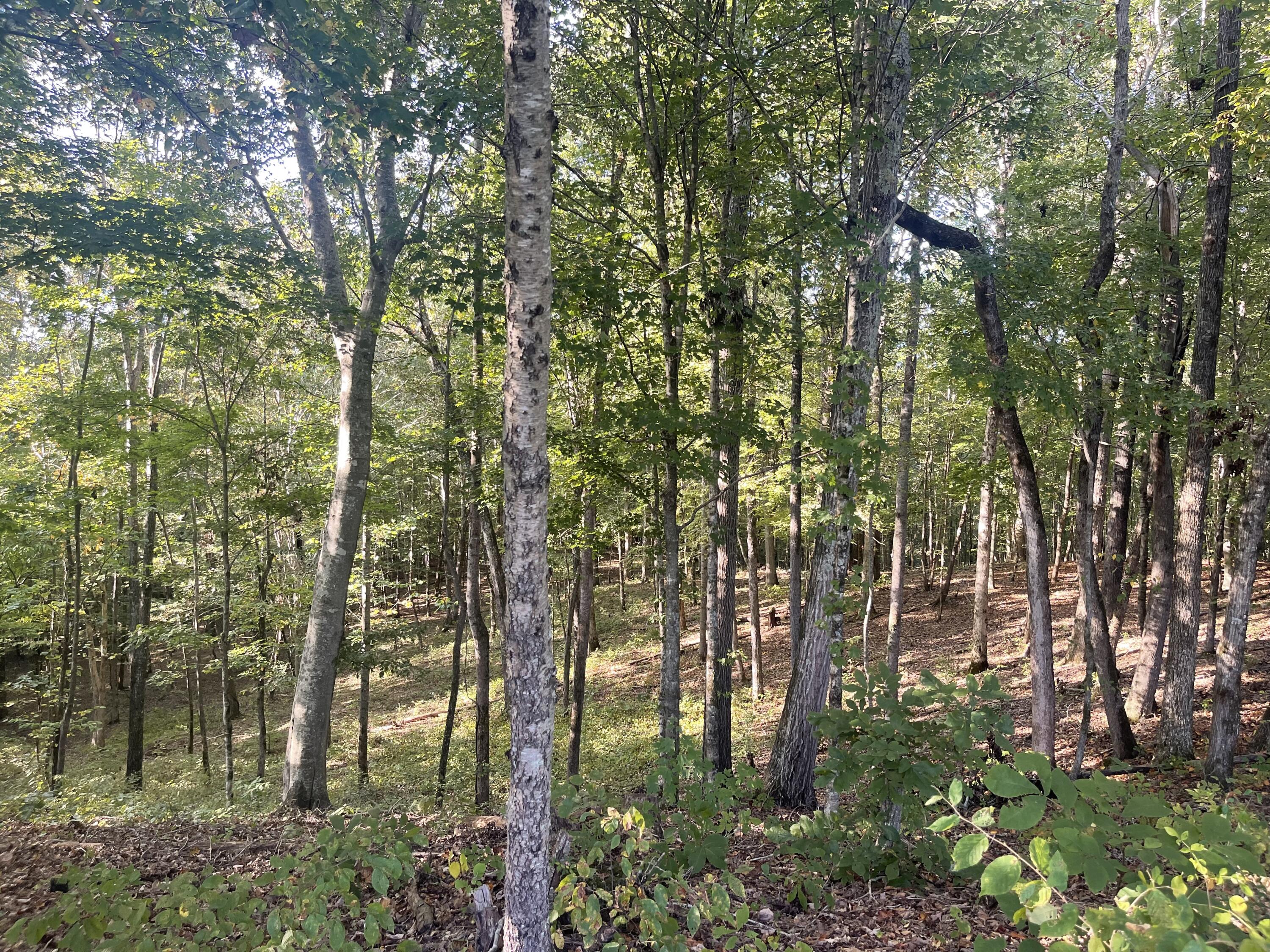 Calhoun, Tennessee, 37309, United States, 4 Bedrooms Bedrooms, ,3 BathroomsBathrooms,Residential,Active,2034257