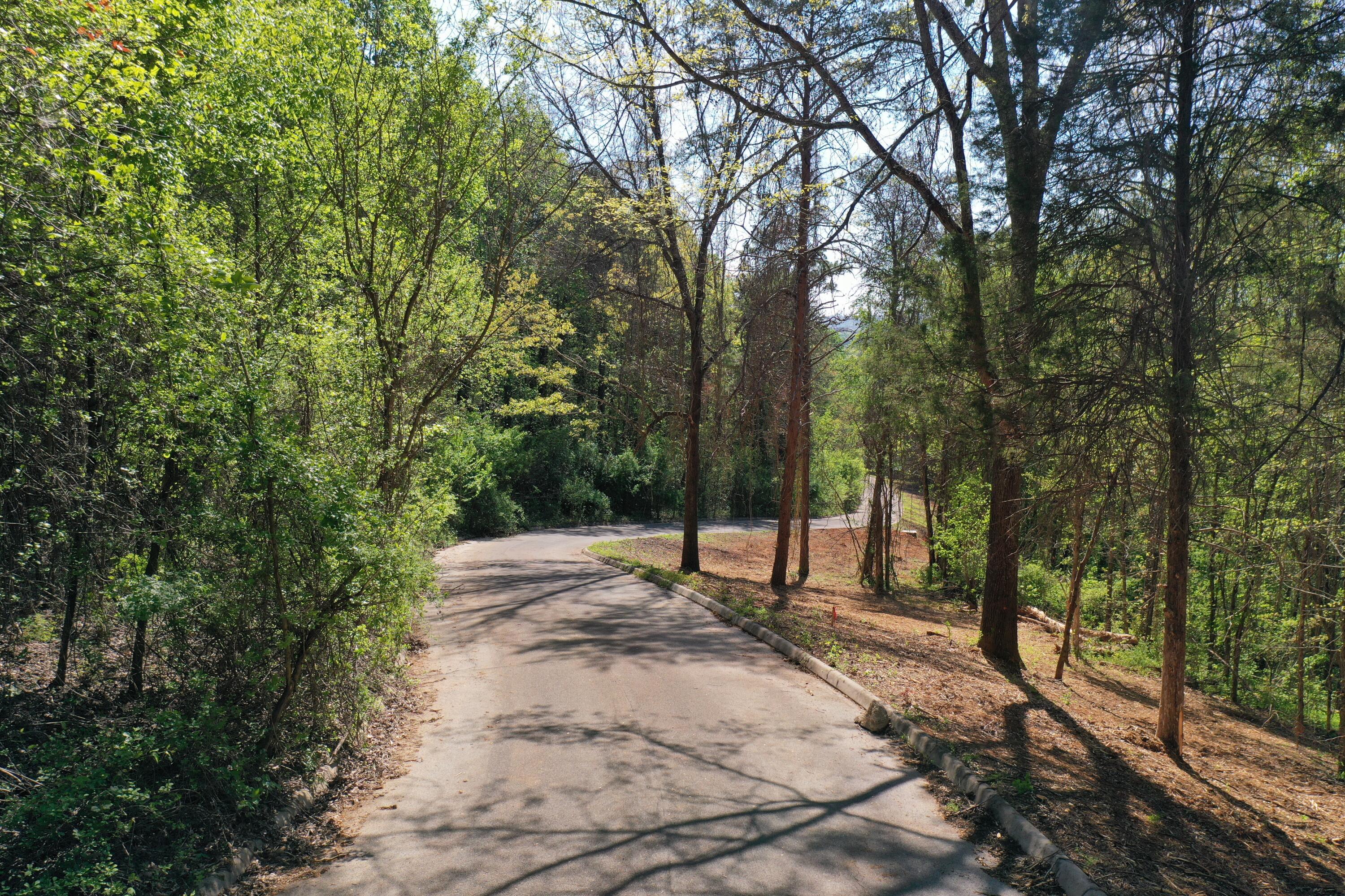 LOT 15_0424