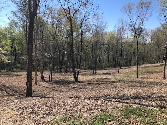 Photo 1 of 3 — 16 Piney View Drive, Spring City, TN 37381
