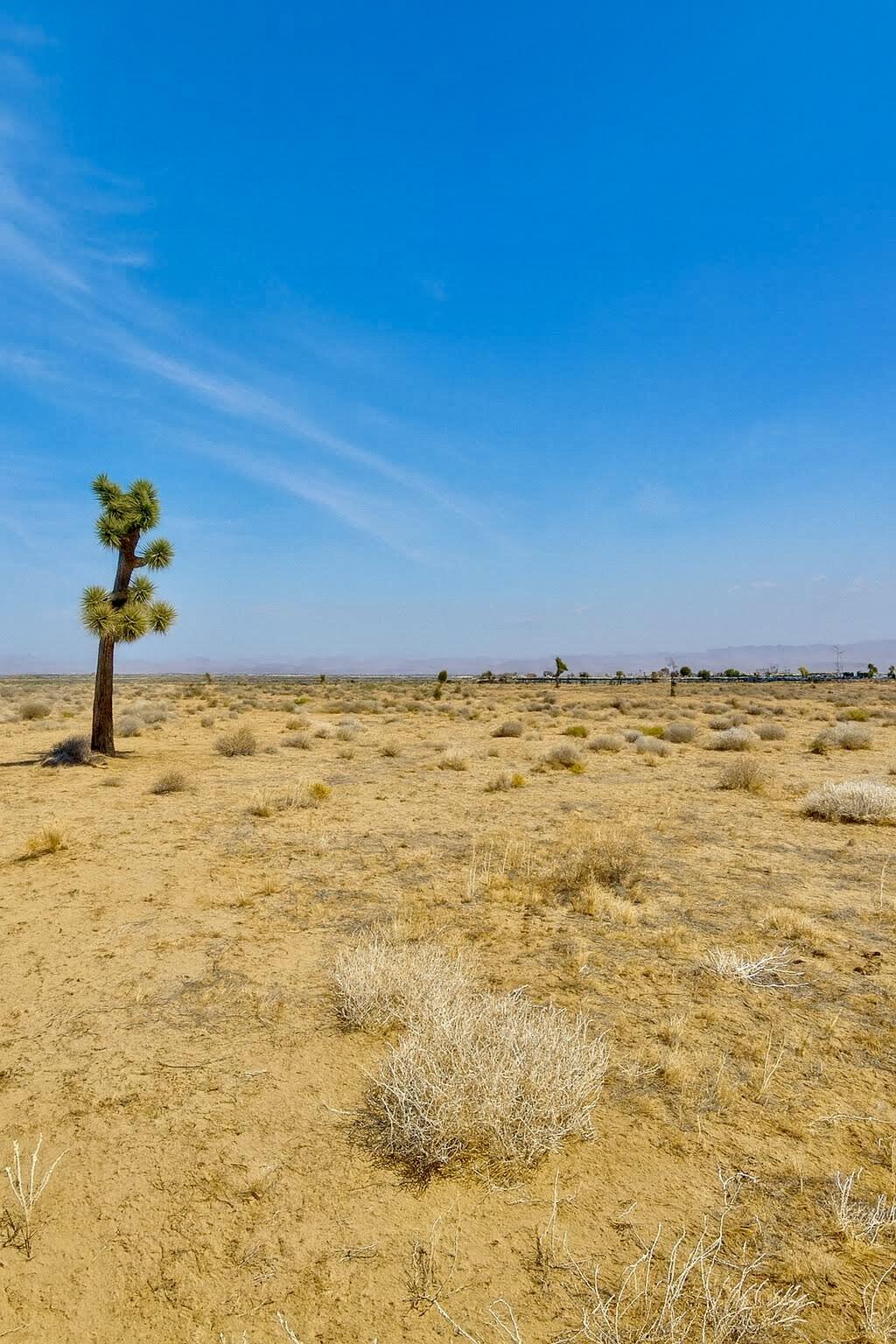 Phelan, California 92371, United States, ,Land,Active,250643