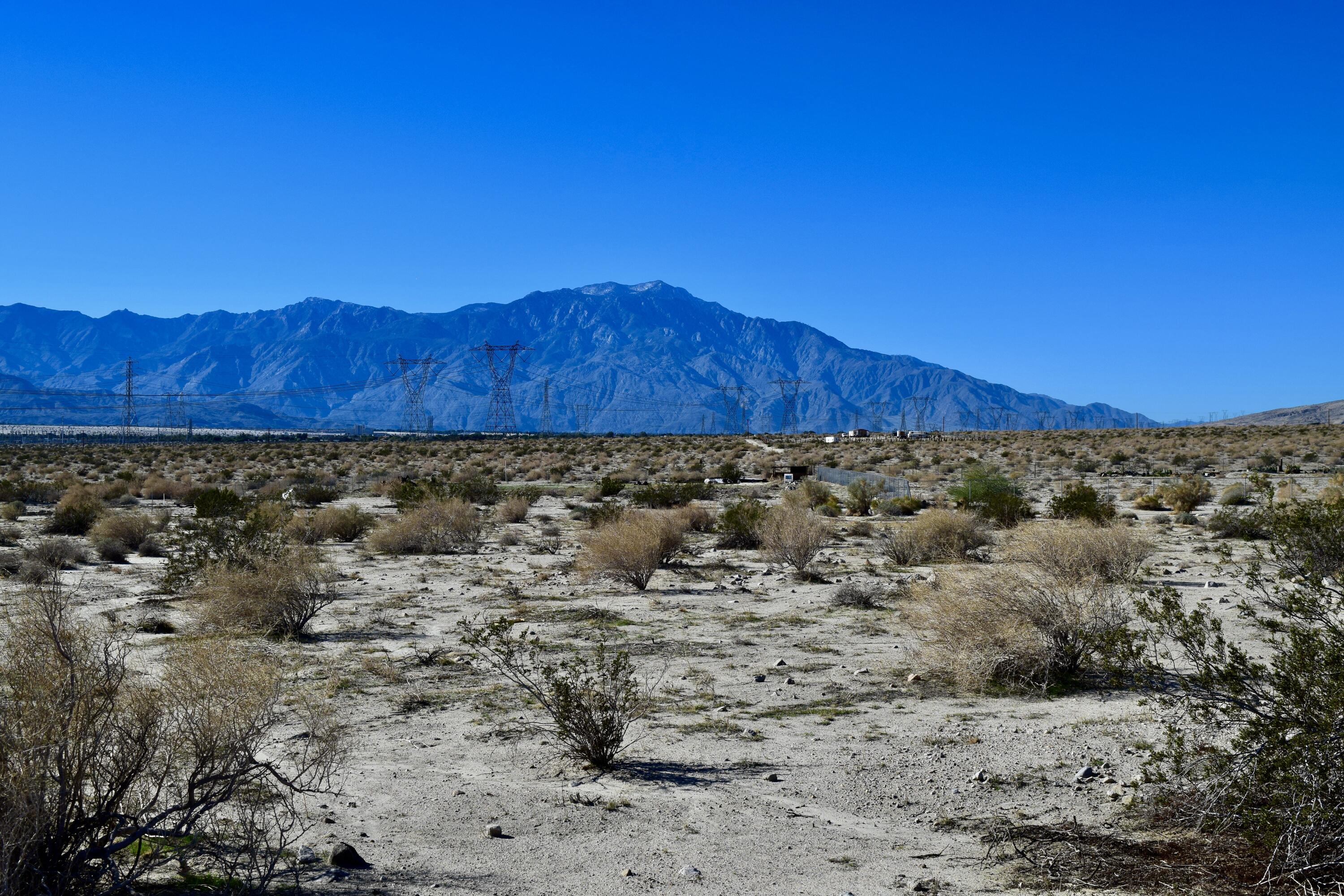 Thousand Palms, California 92276, United States, ,Land,Active,254726