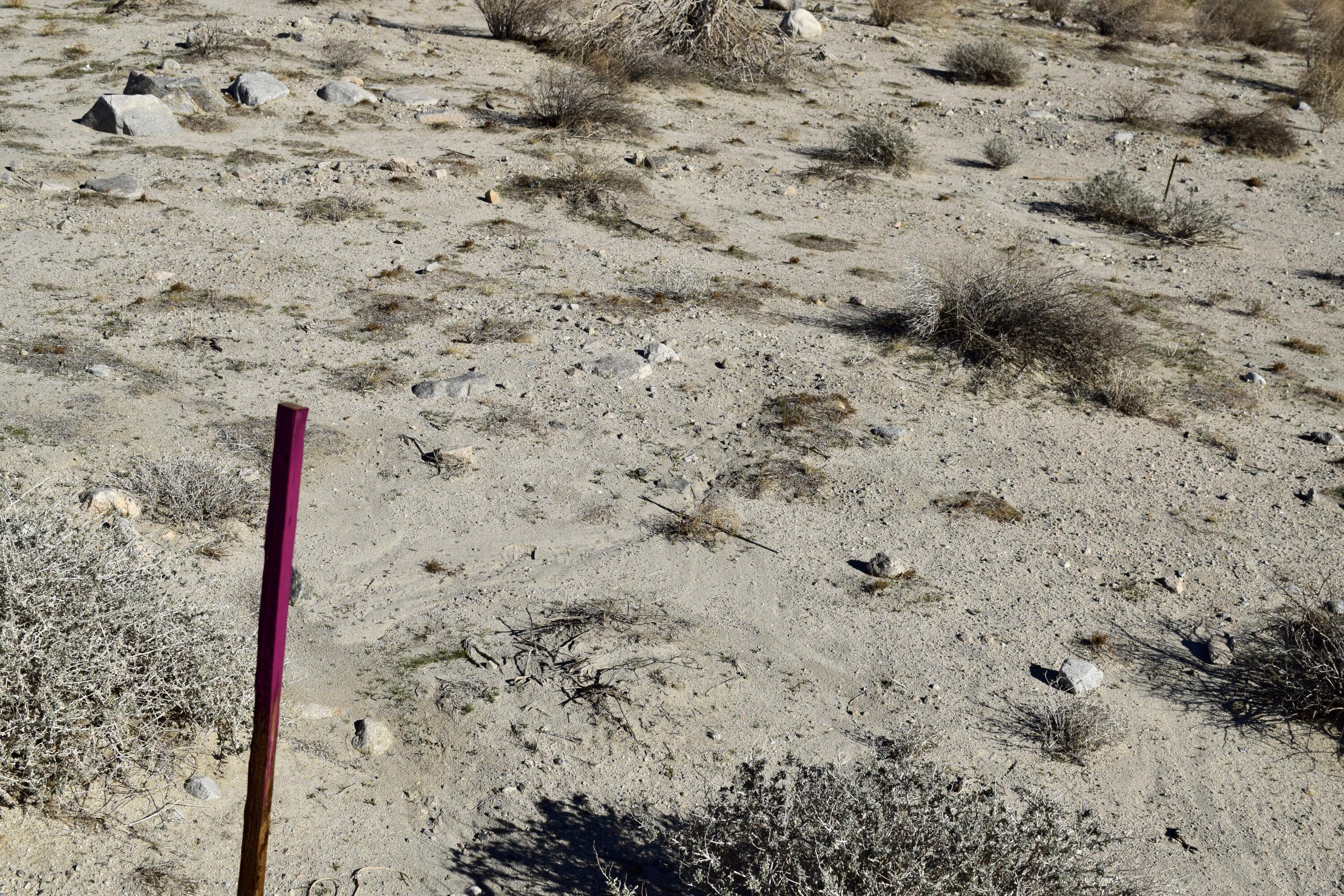 Thousand Palms, California 92276, United States, ,Land,Active,254726