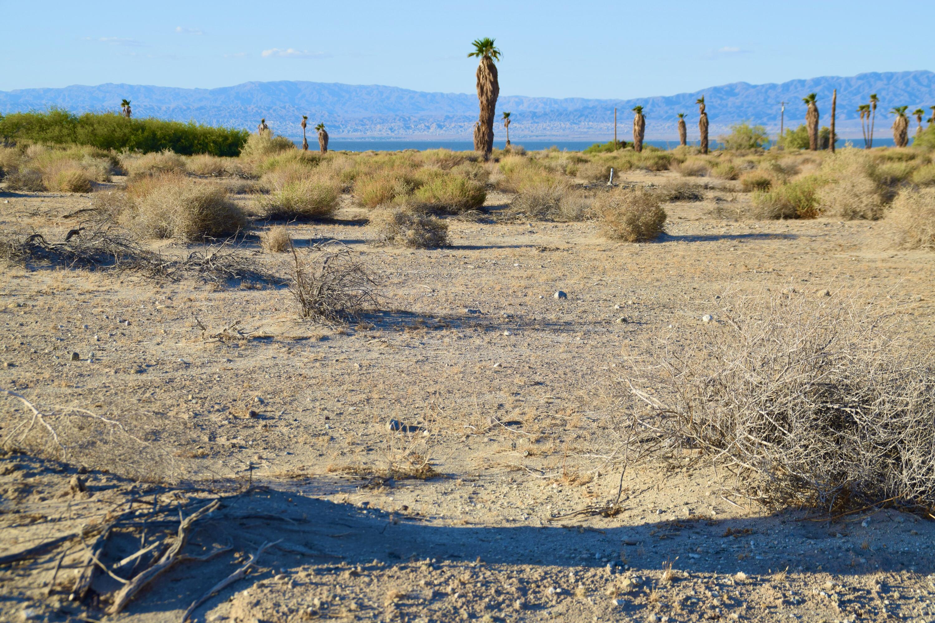 Thermal, California 92274, United States, ,Land,Active,119193