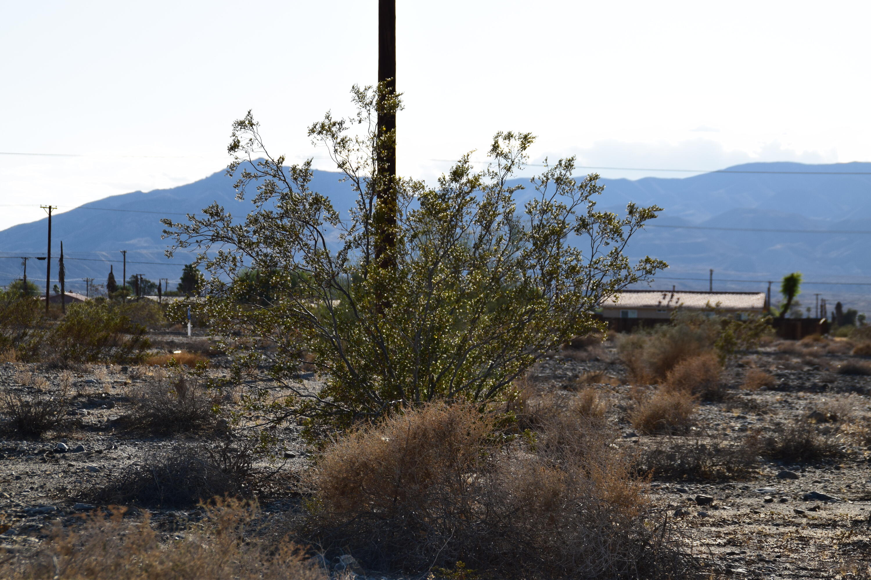 Thermal, California 92274, United States, ,Land,Active,119193