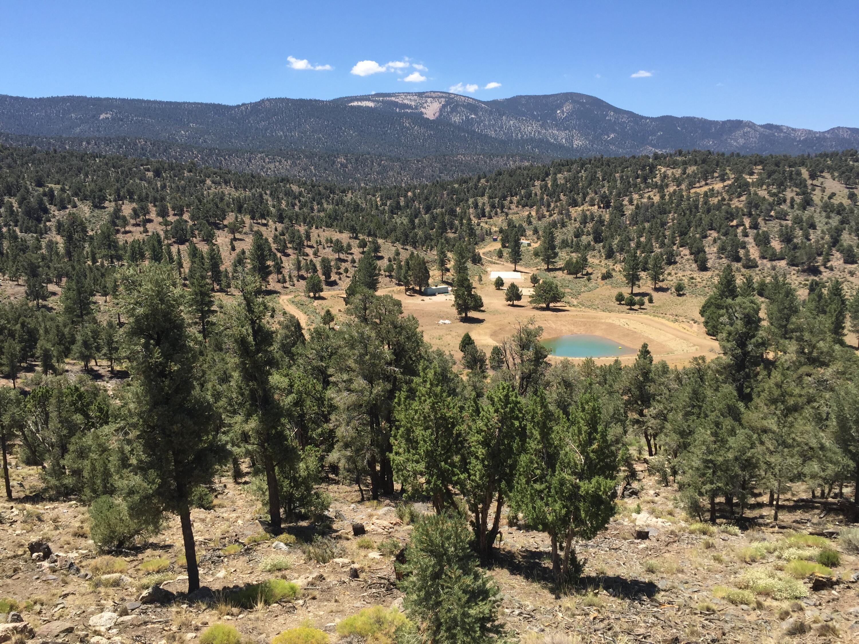 550 Eagle Ridge Ln, Big Bear City, CA, 92314, USA, 2 Bedrooms Bedrooms, ,1 BathroomBathrooms,Residential,Active,550 Eagle Ridge Ln,219134012