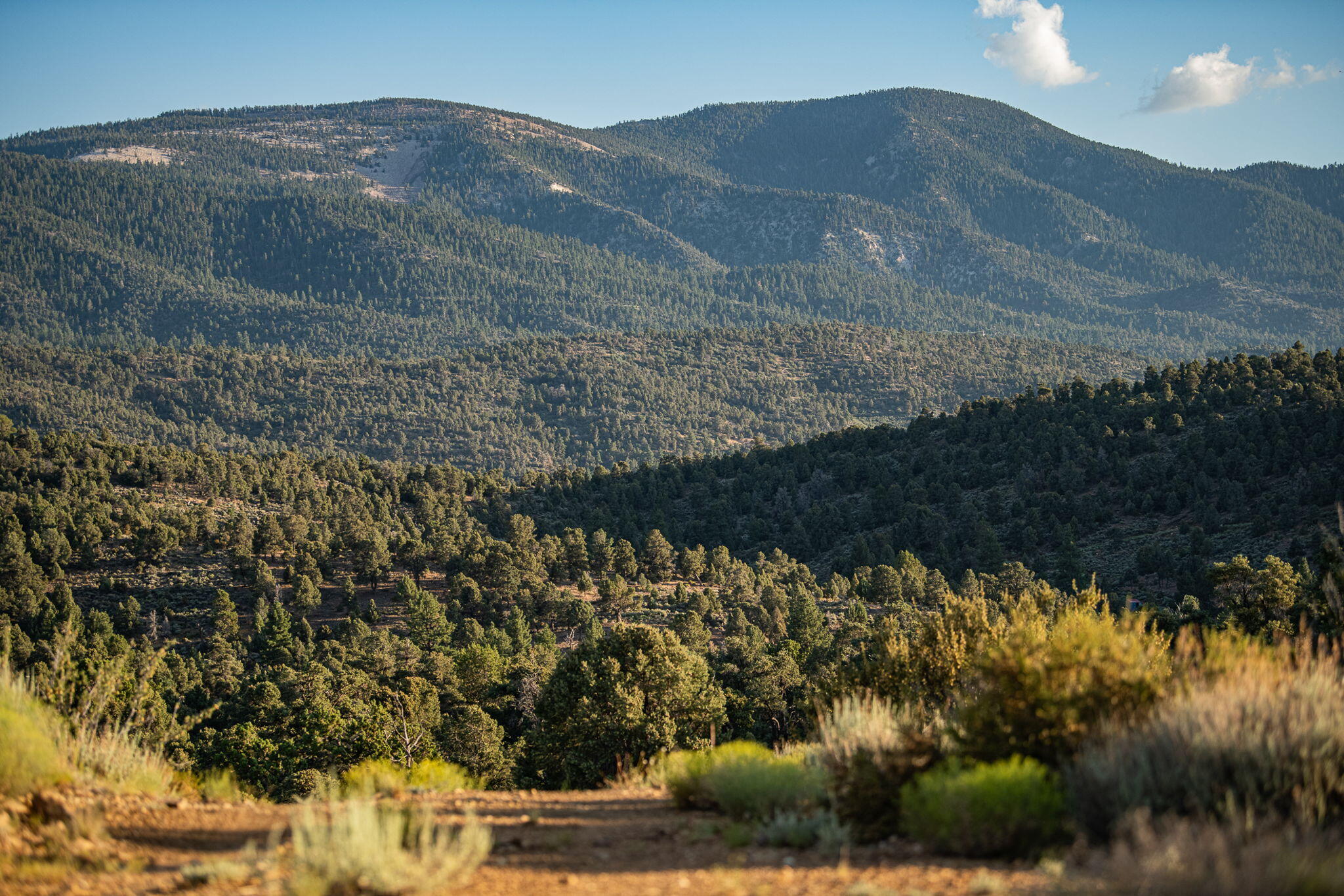 550 Eagle Ridge Ln, Big Bear City, CA, 92314, USA, 2 Bedrooms Bedrooms, ,1 BathroomBathrooms,Residential,Active,550 Eagle Ridge Ln,219134012