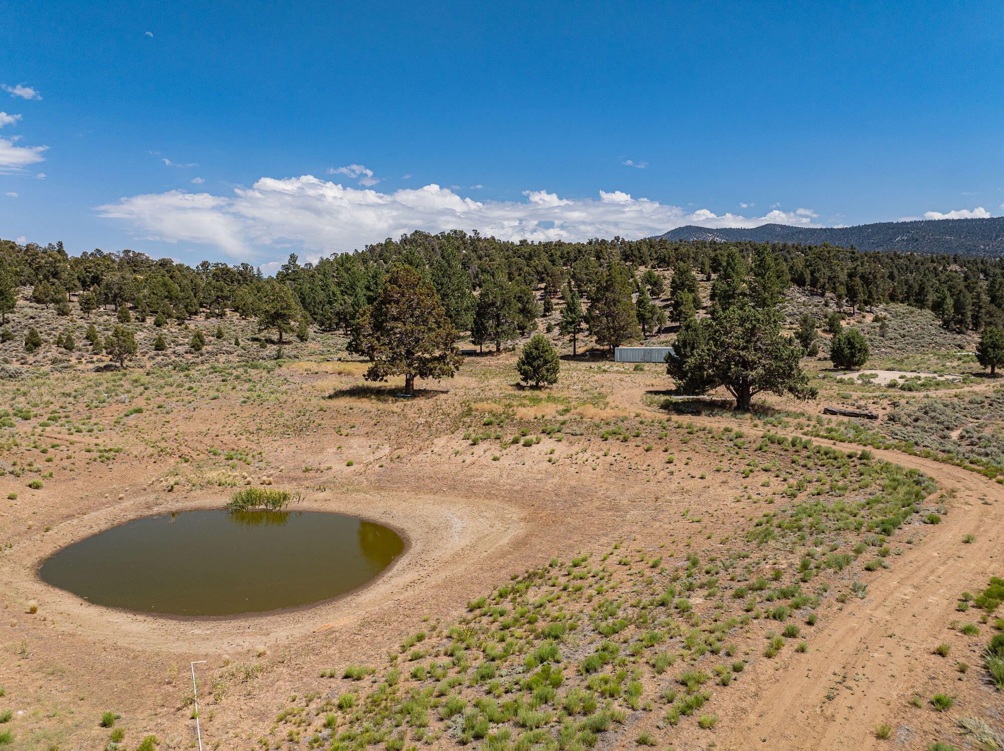 550 Eagle Ridge Ln, Big Bear City, CA, 92314, USA, 2 Bedrooms Bedrooms, ,1 BathroomBathrooms,Residential,Active,550 Eagle Ridge Ln,219134012