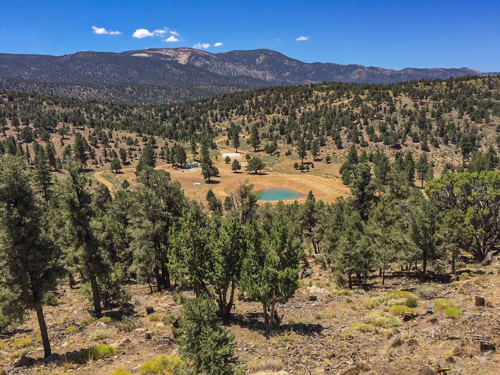 550 Eagle Ridge Ln, Big Bear City, CA, 92314, USA, 2 Bedrooms Bedrooms, ,1 BathroomBathrooms,Residential,Active,550 Eagle Ridge Ln,219134012