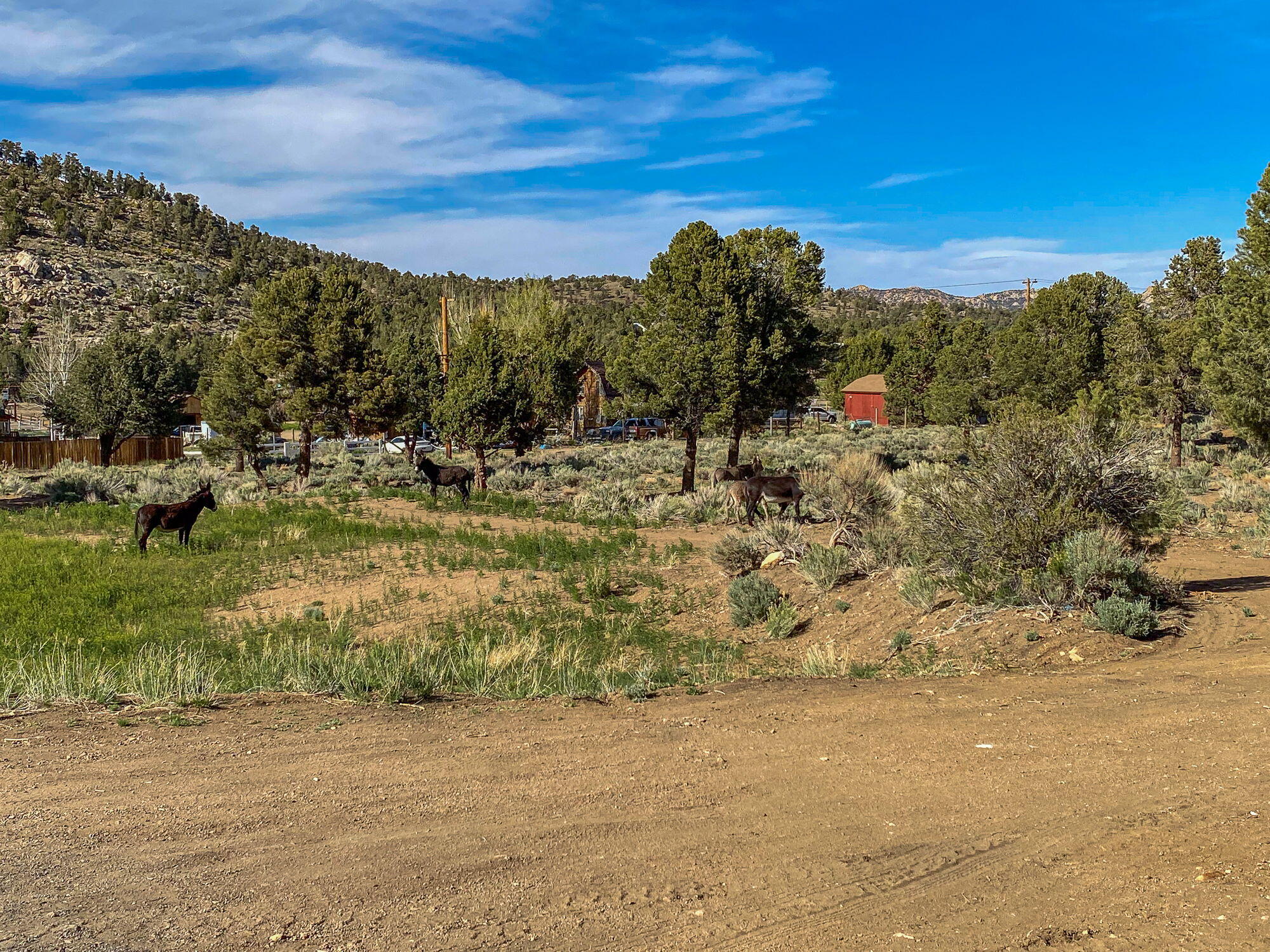 550 Eagle Ridge Ln, Big Bear City, CA, 92314, USA, 2 Bedrooms Bedrooms, ,1 BathroomBathrooms,Residential,Active,550 Eagle Ridge Ln,219134012