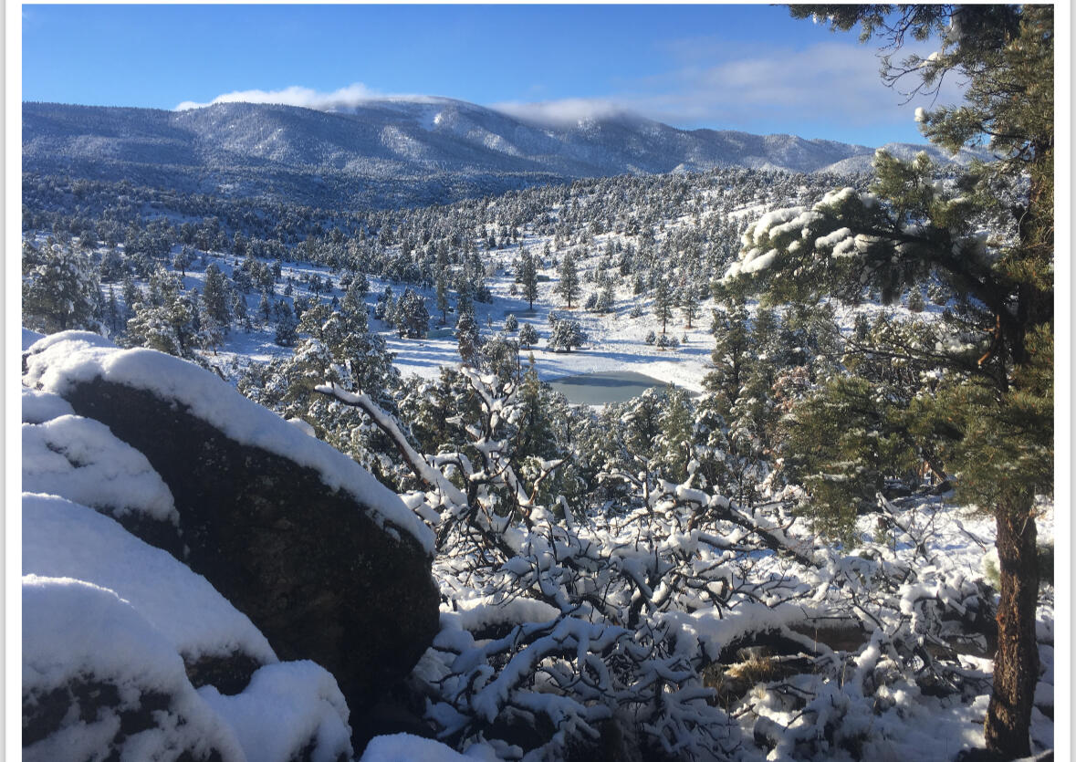 550 Eagle Ridge Ln, Big Bear City, CA, 92314, USA, 2 Bedrooms Bedrooms, ,1 BathroomBathrooms,Residential,Active,550 Eagle Ridge Ln,219134012