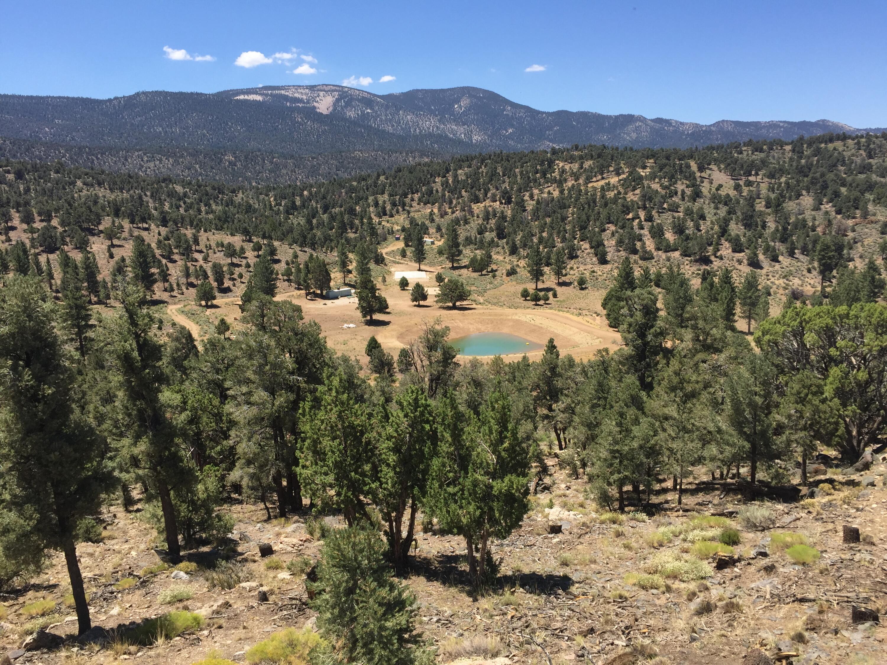 550 Eagle Ridge Ln, Big Bear City, CA, 92314, USA, 2 Bedrooms Bedrooms, ,1 BathroomBathrooms,Residential,Active,550 Eagle Ridge Ln,219134012