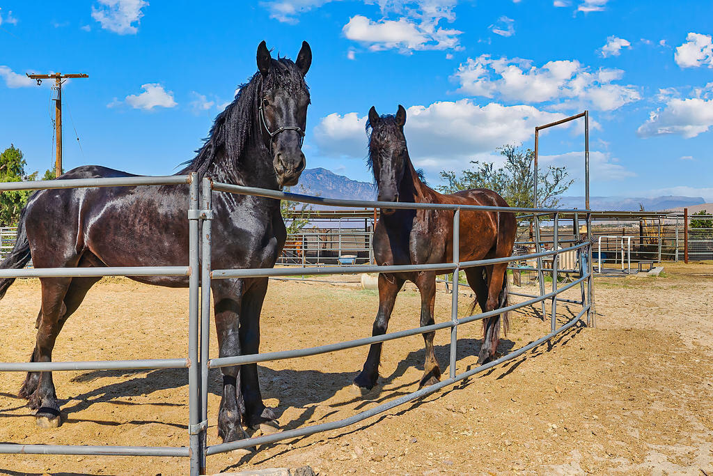 Thousand Palms, California 92276, United States, 2 Bedrooms Bedrooms, ,1 BathroomBathrooms,Residential,Active,113567