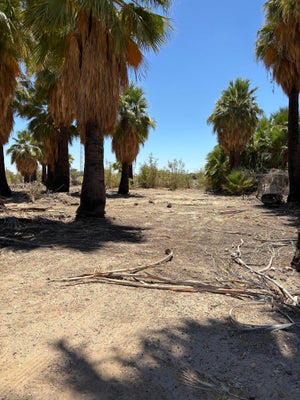 51 W 4TH ST, NILAND, CA 92257 - Image 97e9c4d4e9b703210c36ca1c90ed7dfb/4221555459