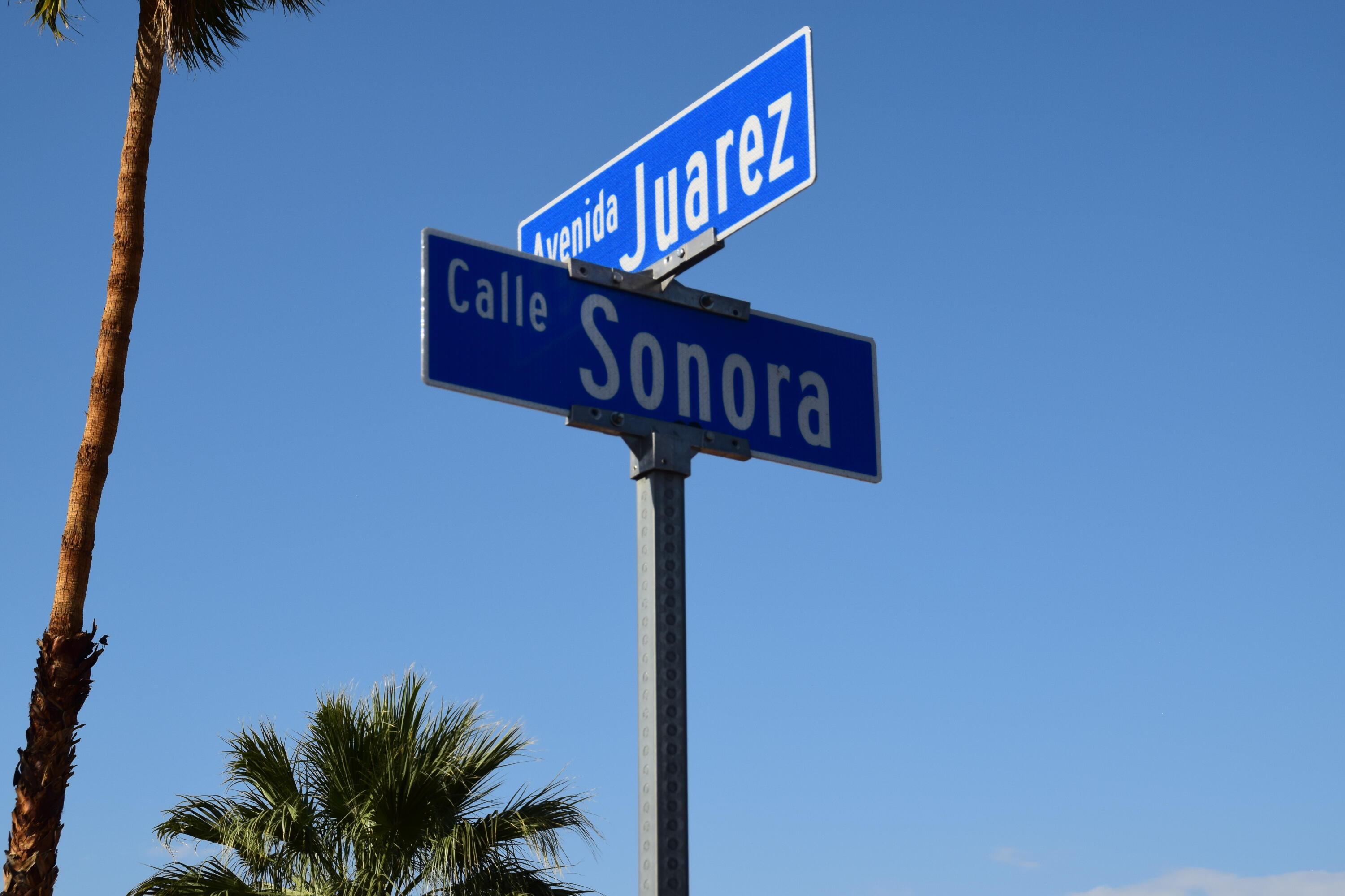 La Quinta, California 92253, United States, 3 Bedrooms Bedrooms, ,2 BathroomsBathrooms,Residential,Pending,125359