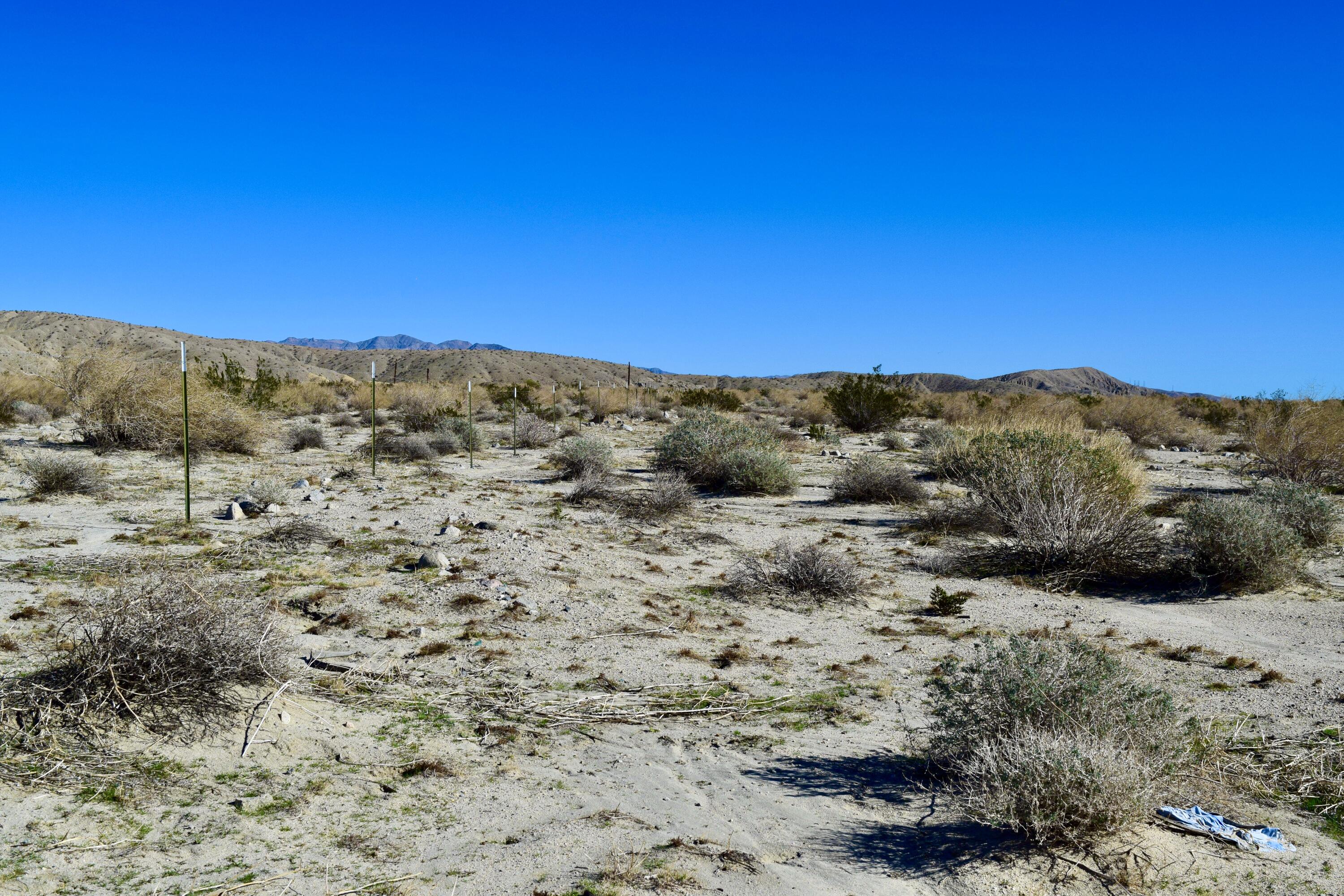 Thousand Palms, California 92276, United States, ,Land,Active,254285