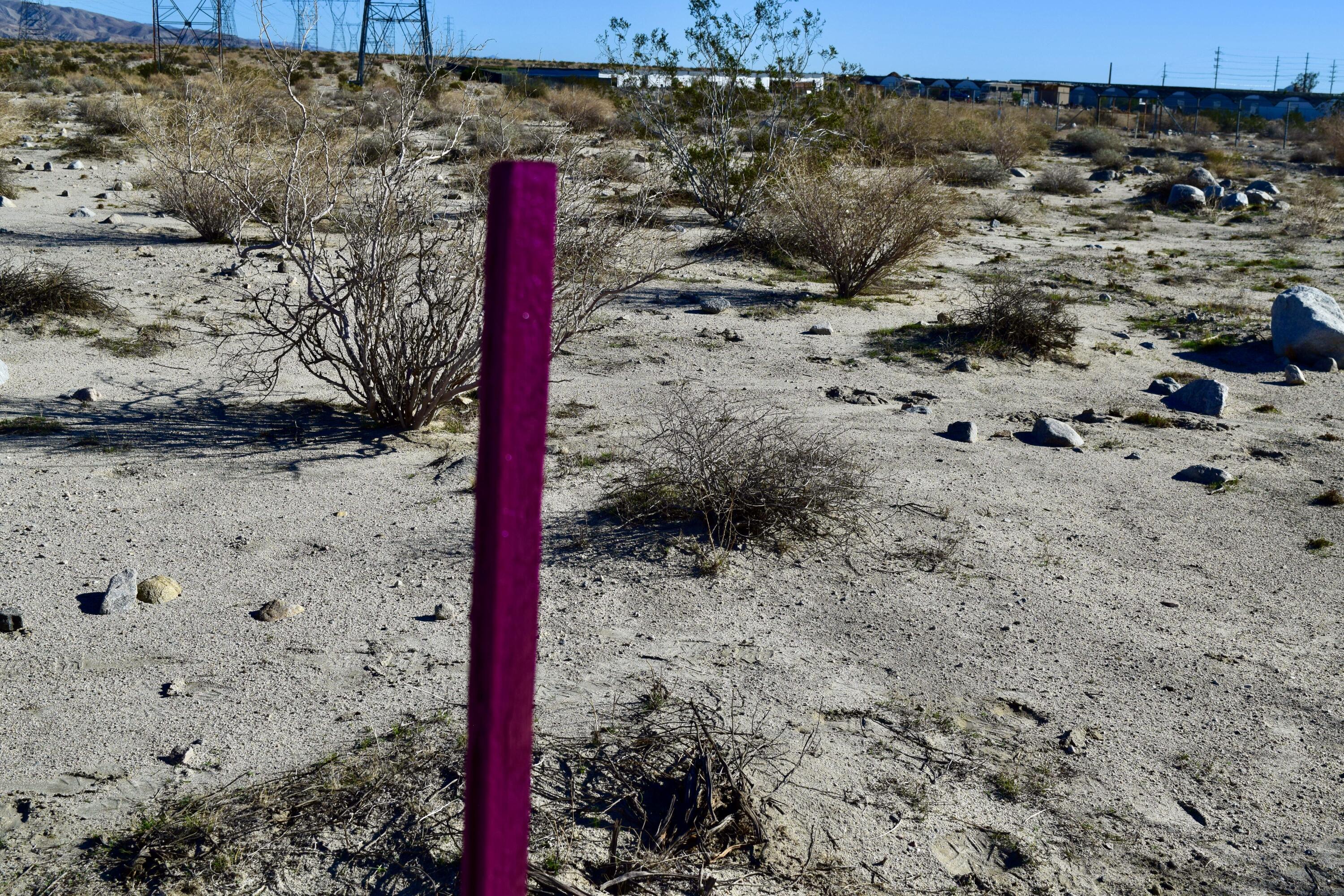 Thousand Palms, California 92276, United States, ,Land,Active,254285