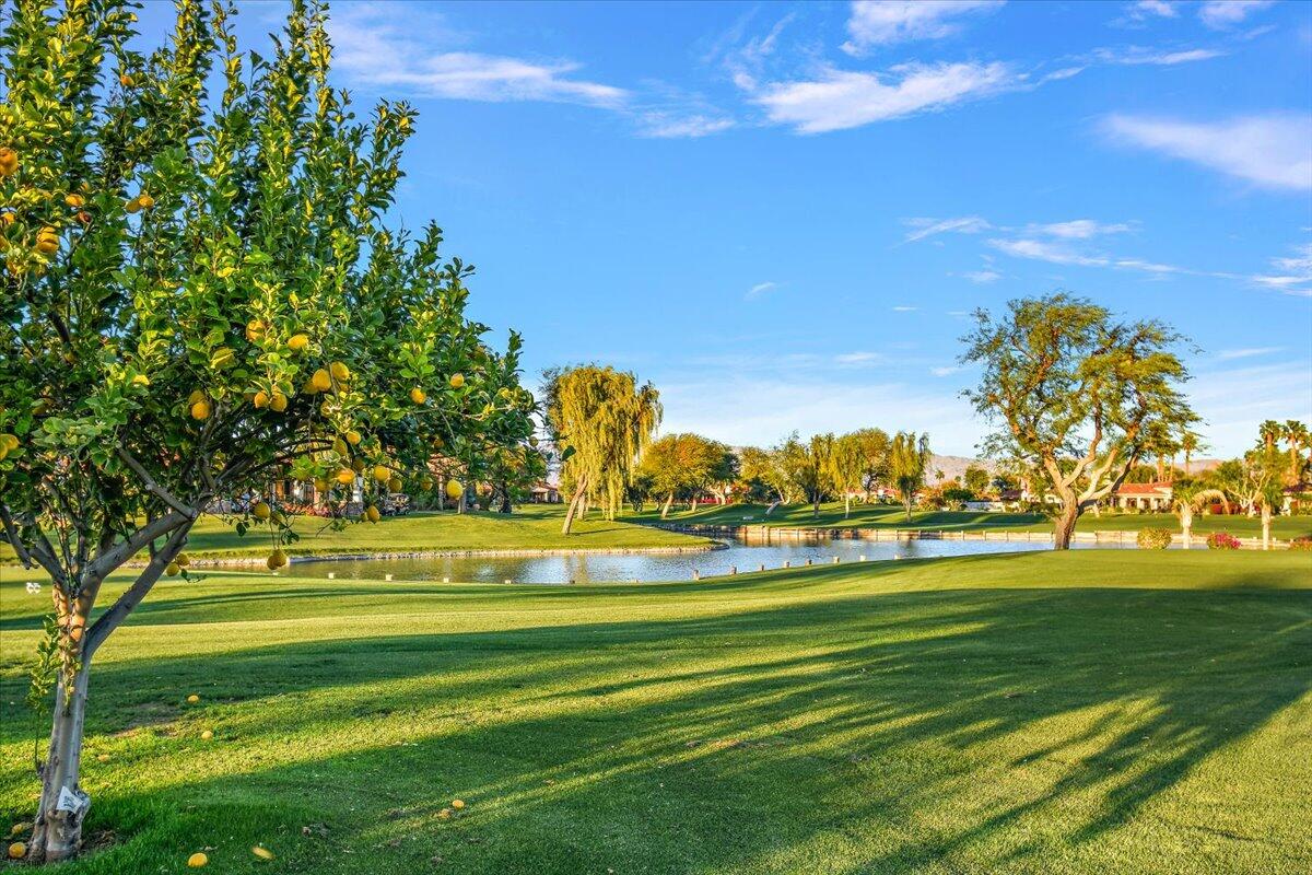 La Quinta, California 92253, United States, 3 Bedrooms Bedrooms, ,3 BathroomsBathrooms,Residential,Active,228579