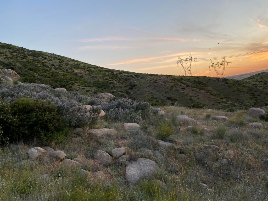 listing image 10998054991852482758