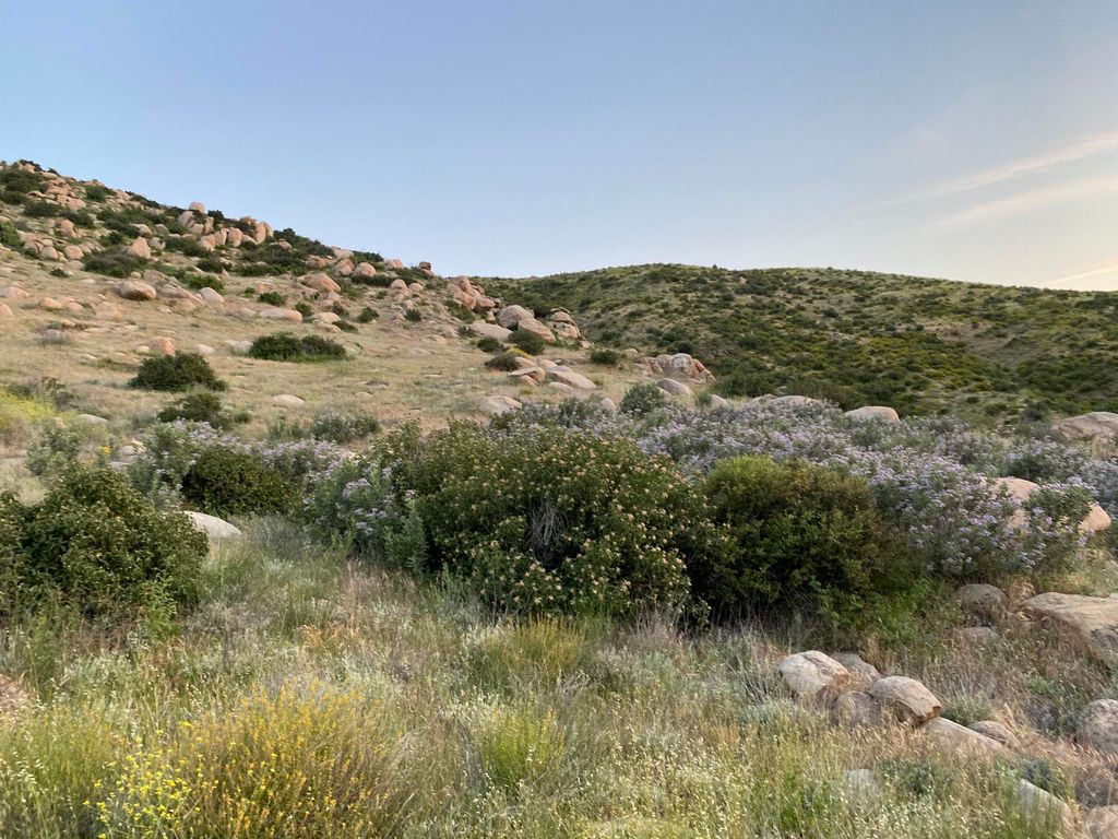 listing image 10994199783165499902