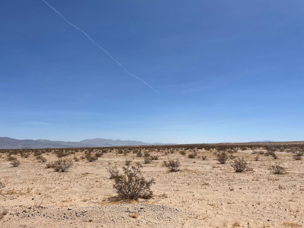 listing image 1099541788010
