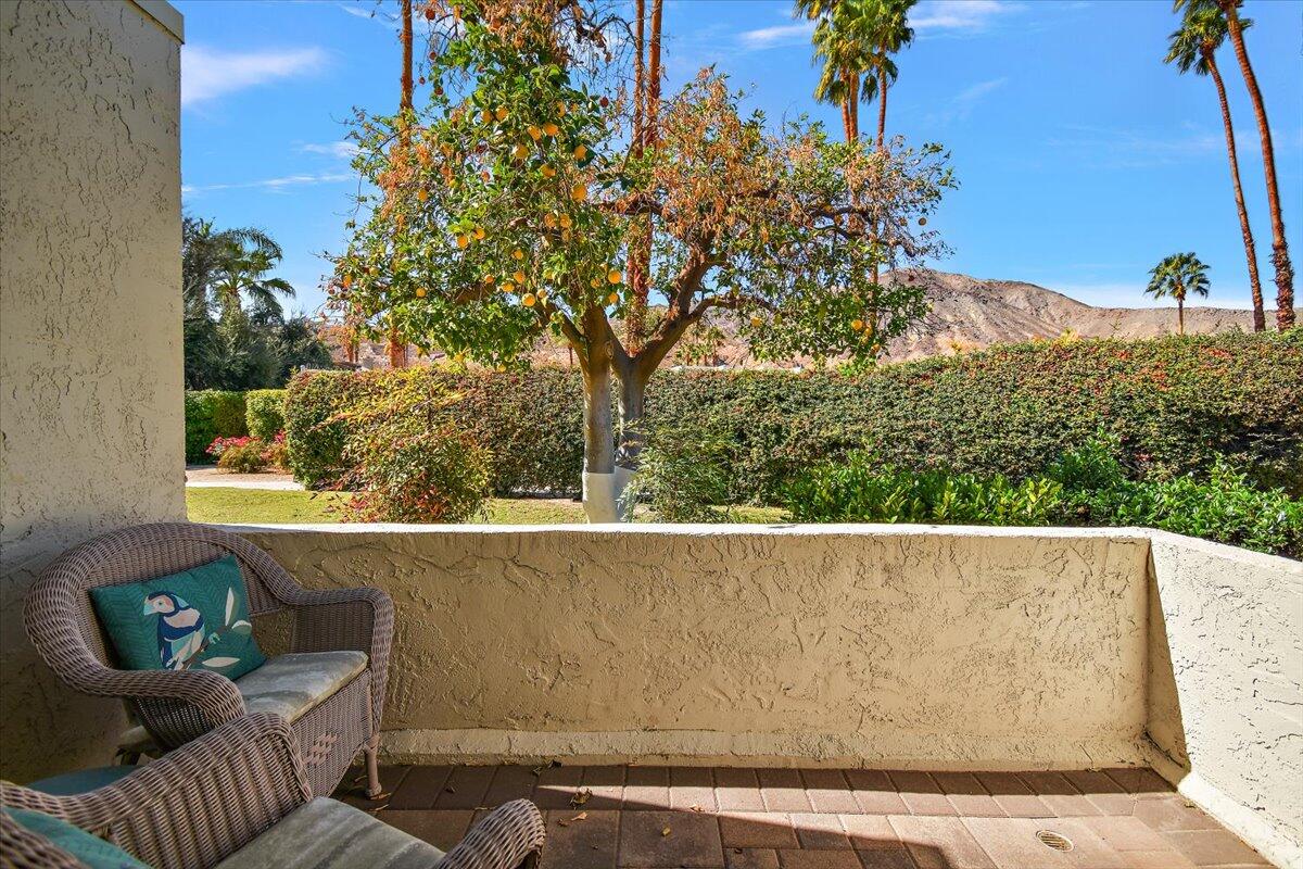 Palm Desert, California 92260, United States, 3 Bedrooms Bedrooms, ,2 BathroomsBathrooms,Residential,Pending,257