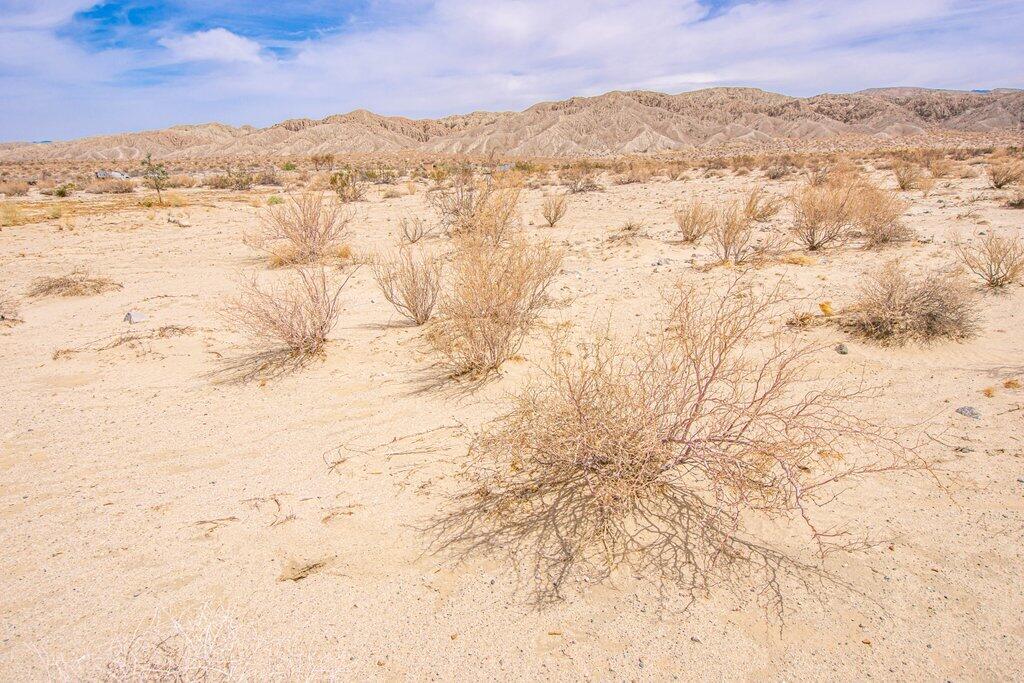 Thousand Palms, California 92276, United States, ,Land,Active,254289