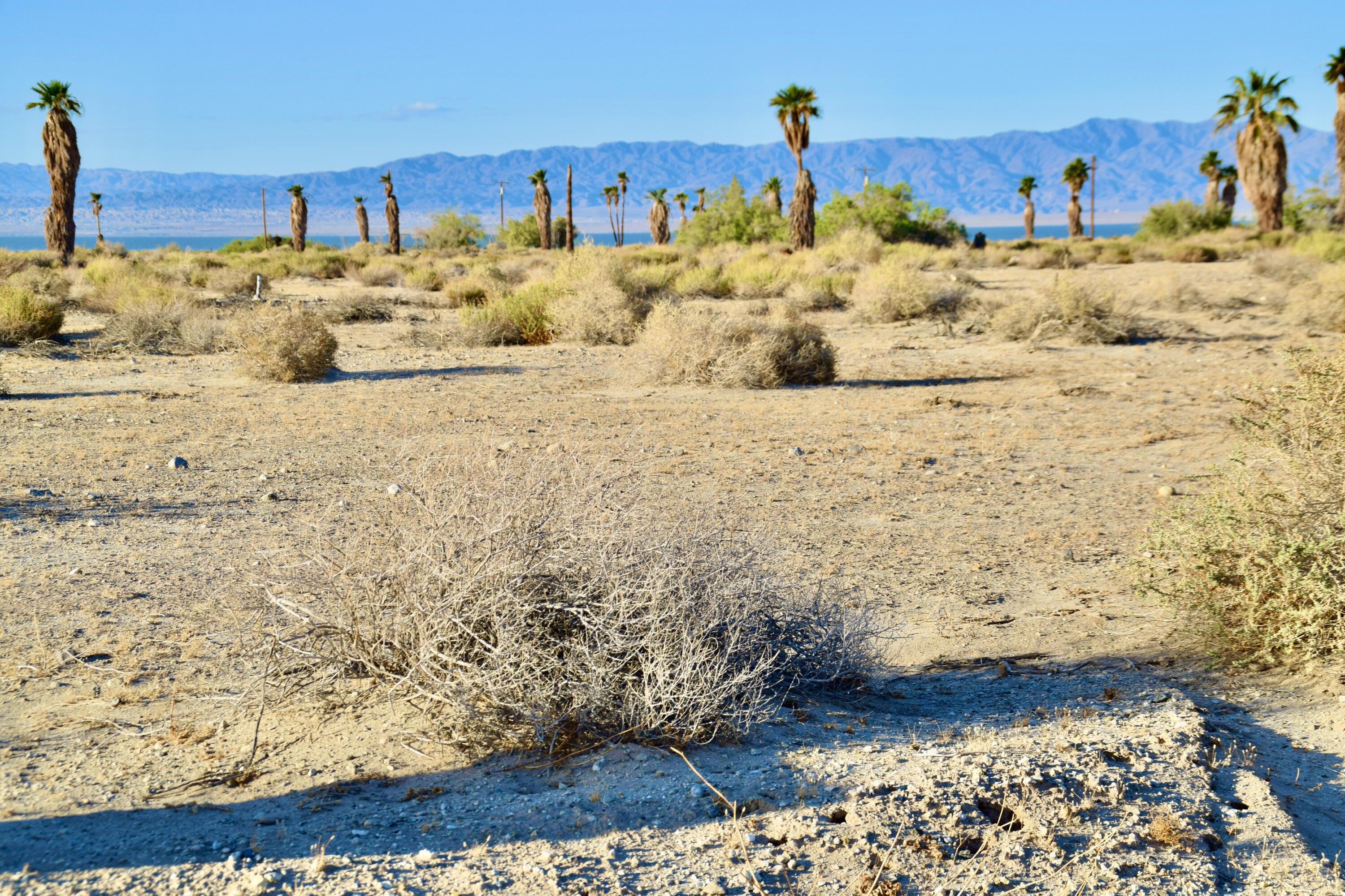 Thermal, California 92274, United States, ,Land,Active,119183