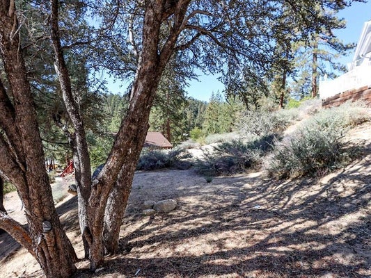 CEDAR-DELL, FAWNSKIN, CA 92333 - Image fe5421eb3b8a2960f7f58e7845db2d38/600966428
