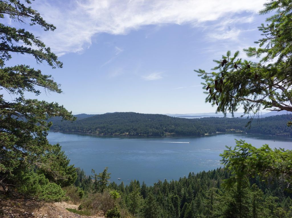 listing image 1108799317635414959