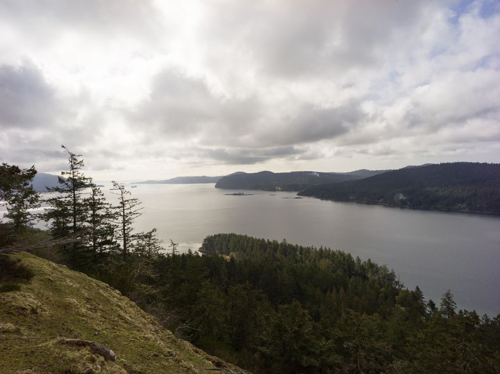 listing image 1101612275698572316