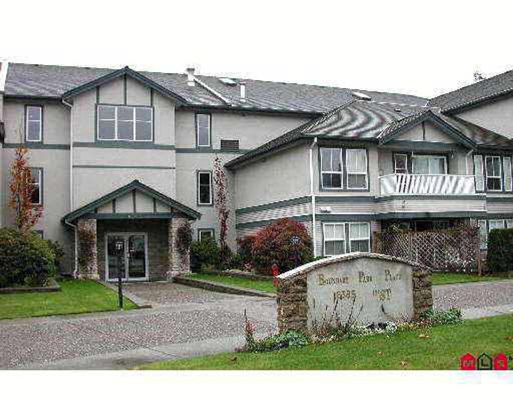 listing image 1100591471130333720