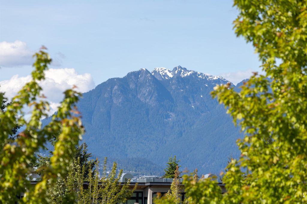 listing image 1100316723442654411