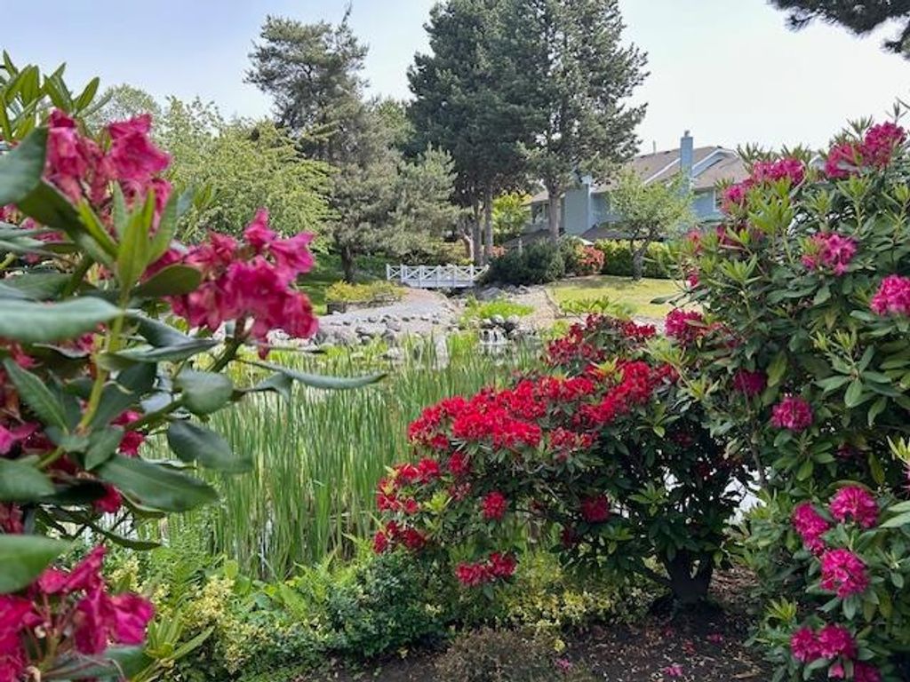 listing image 1107325569667004496