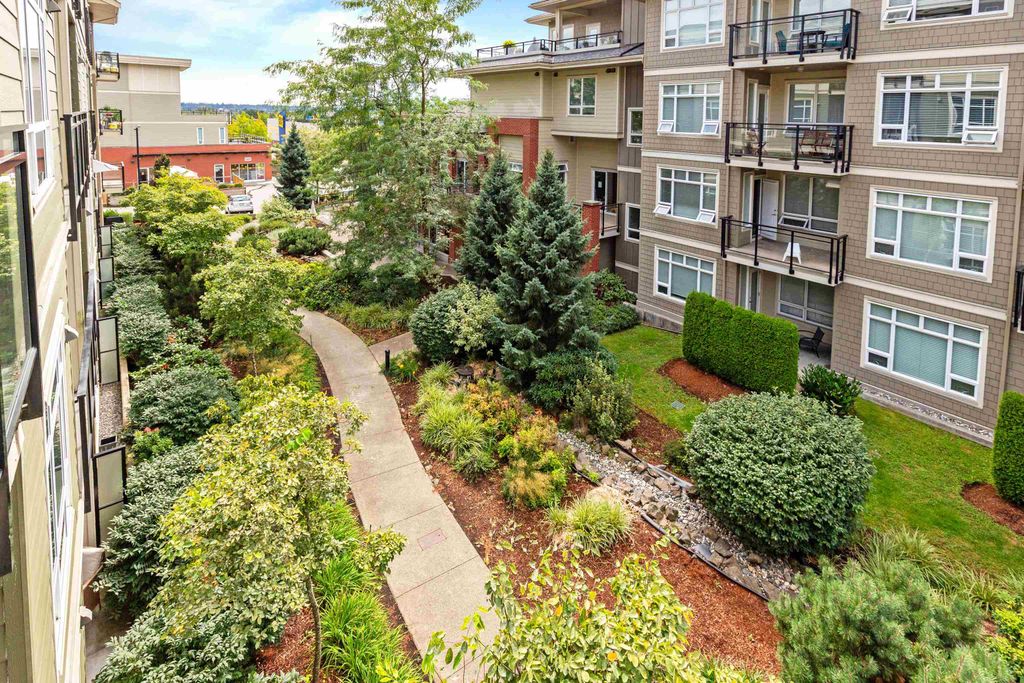 listing image 1104793865852418818