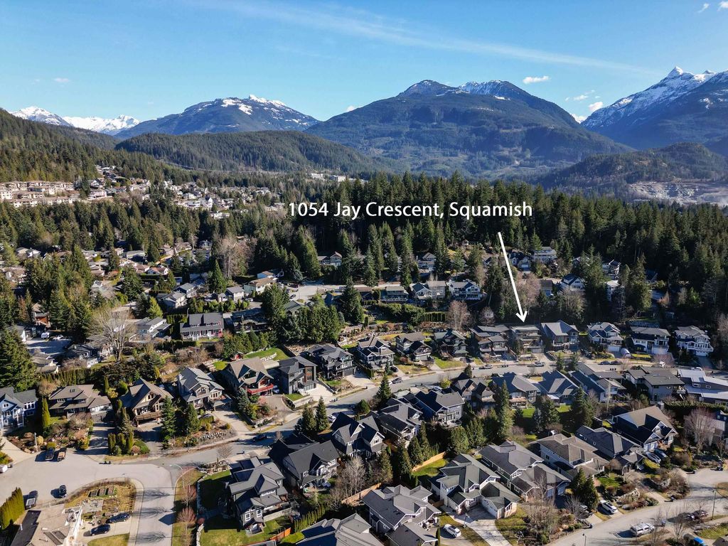 listing image 1106278114653807647