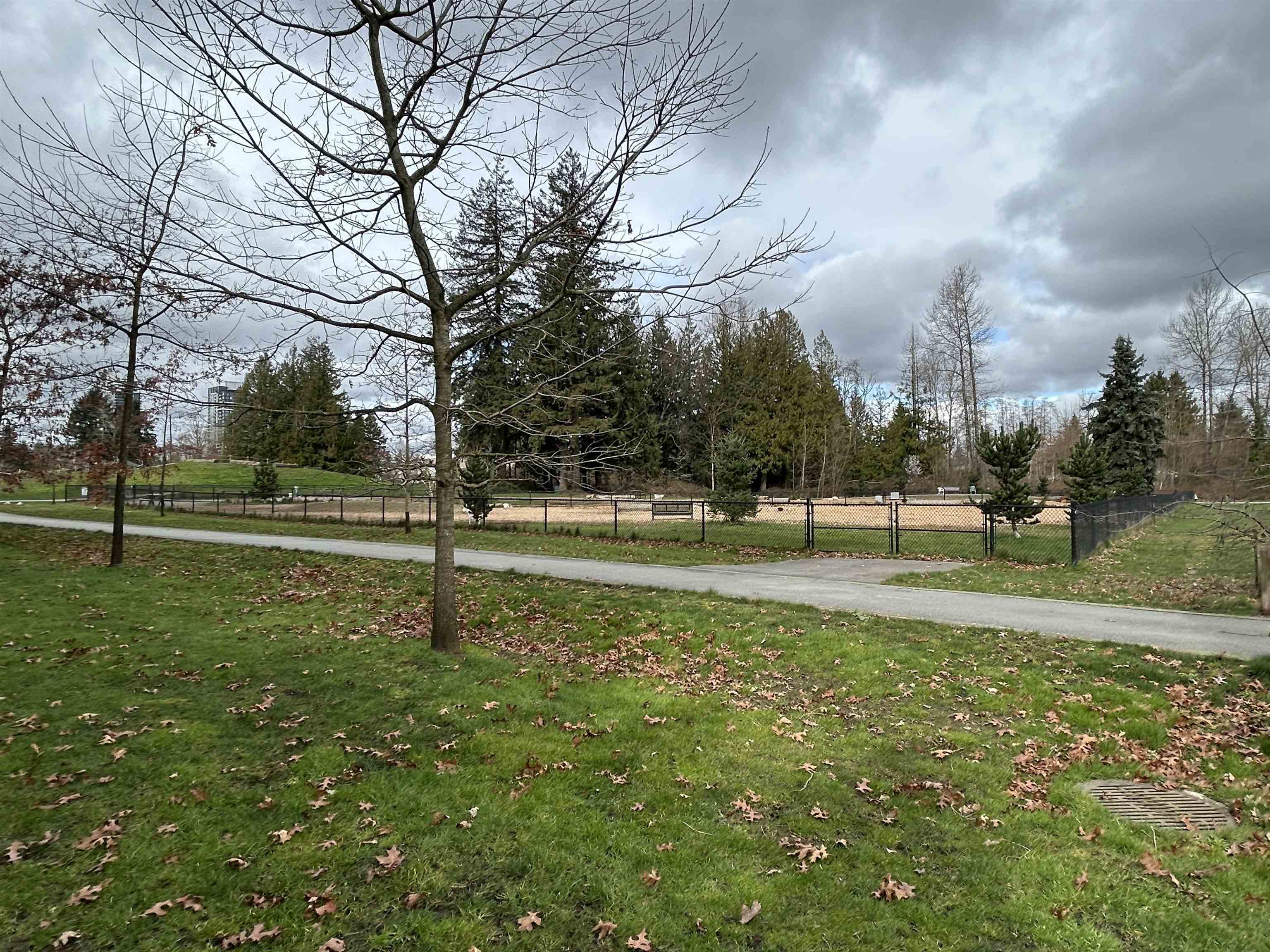 10603 140 Street 512