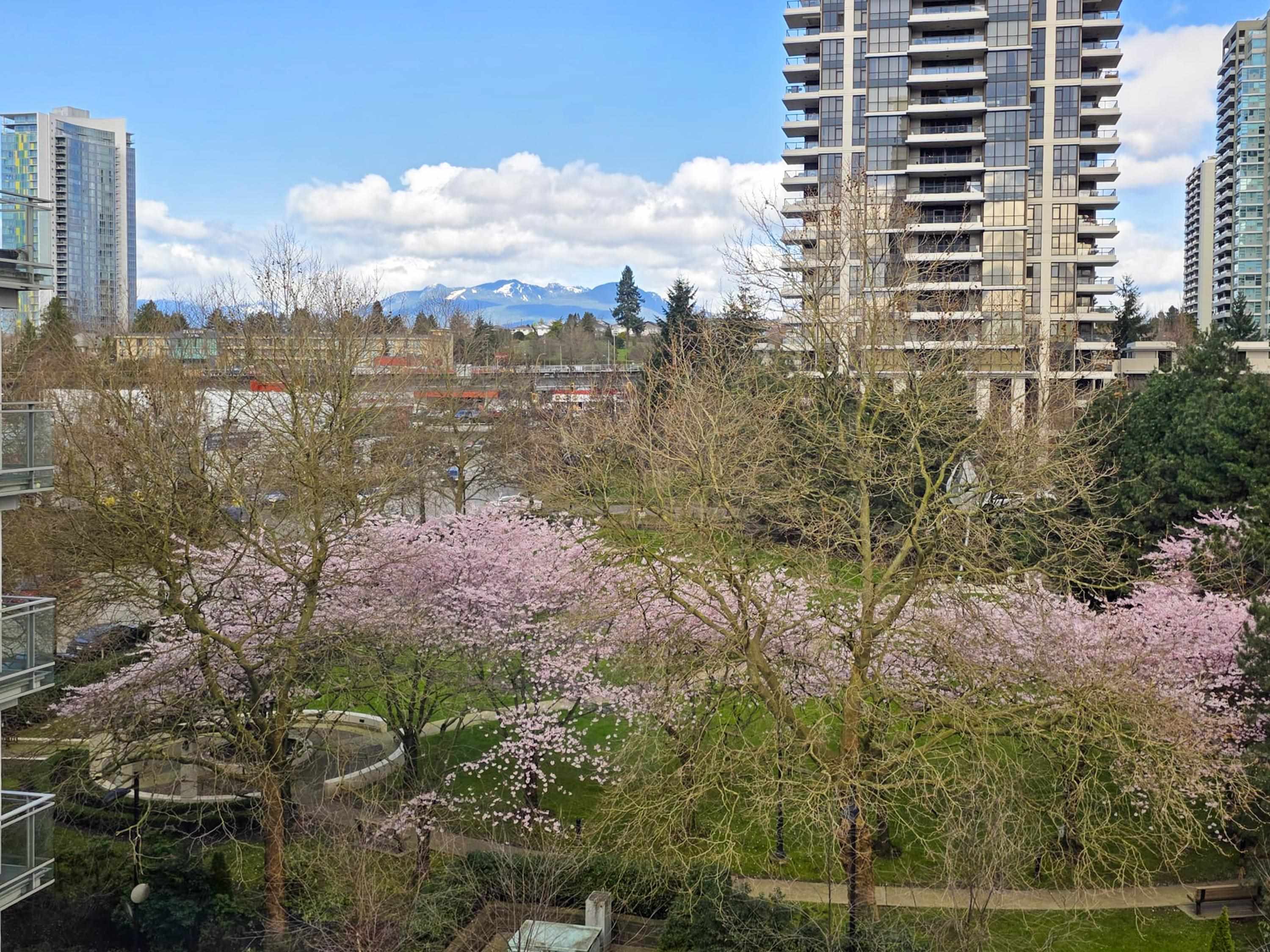 2188 Madison Avenue 515