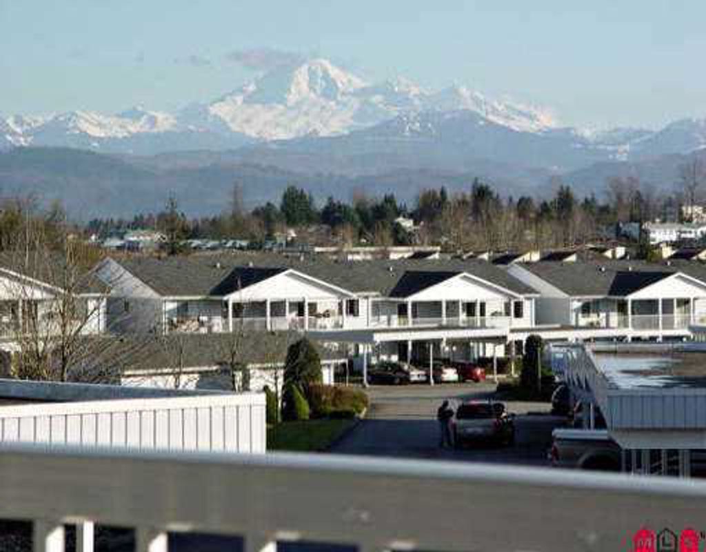 listing image 1103370889866218326