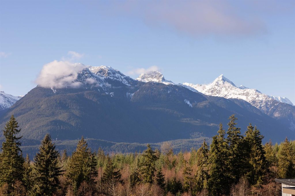 listing image 1101236661531559926